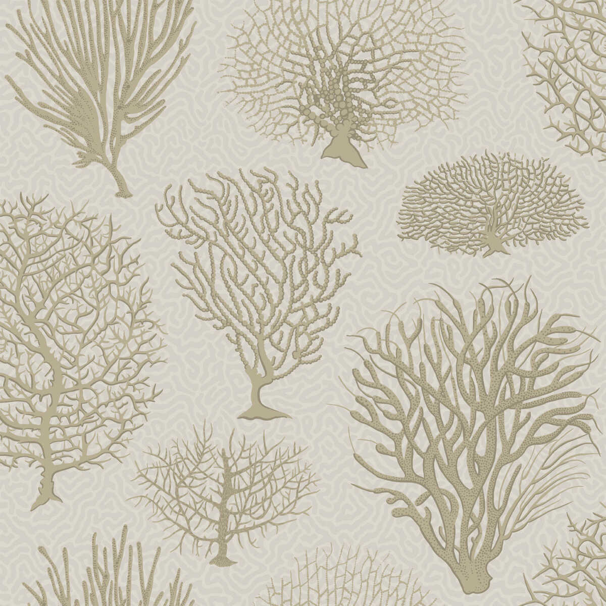 Seafern - Stone - COLE & SON Wallpaper