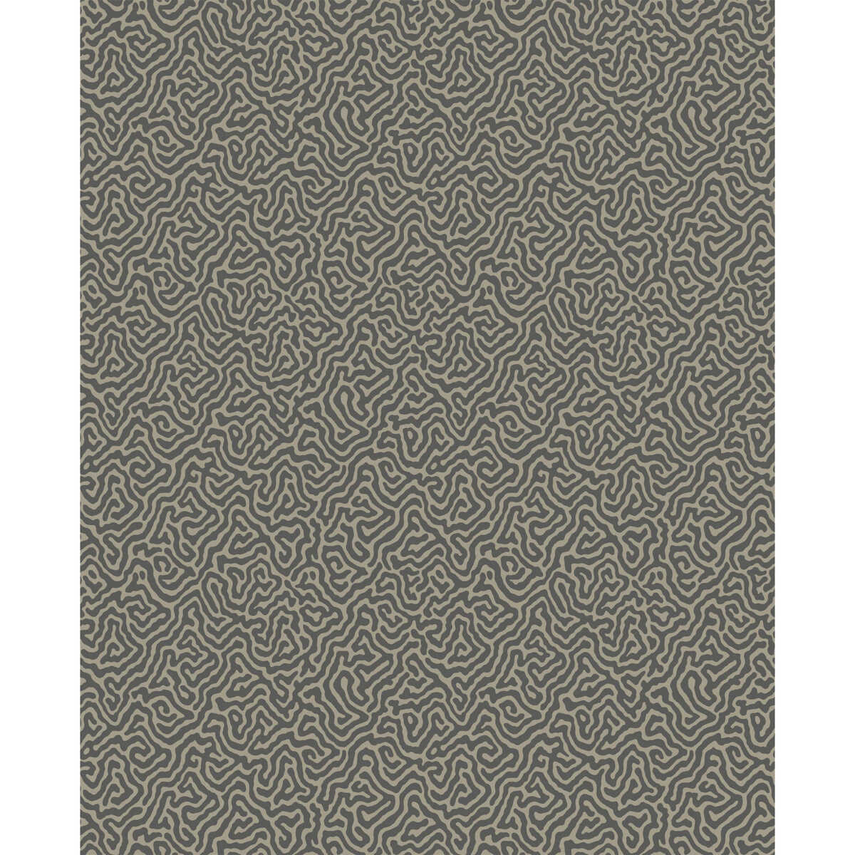 Vermicelli - Black & Linen - COLE & SON Wallpaper