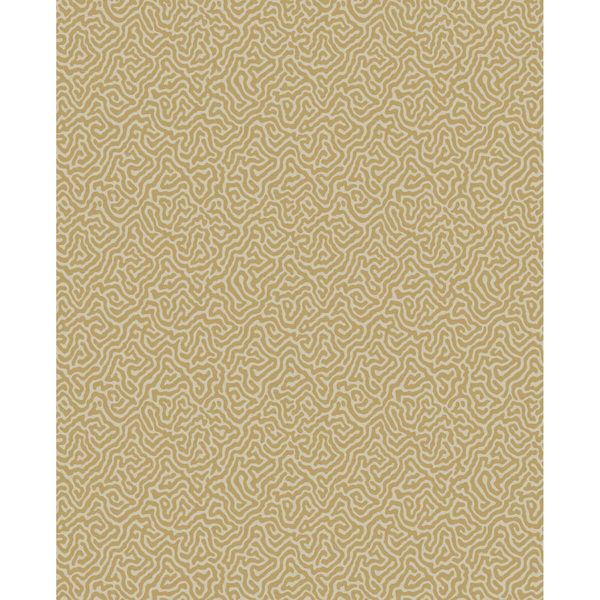 Vermicelli - Buff & Gold - COLE & SON Wallpaper