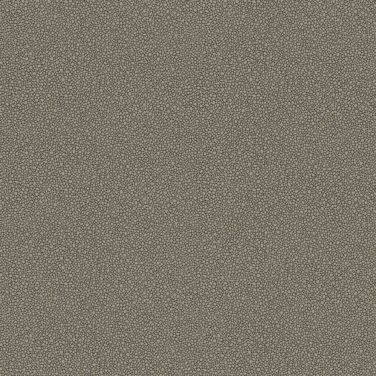 Goldstone - Black & Silver