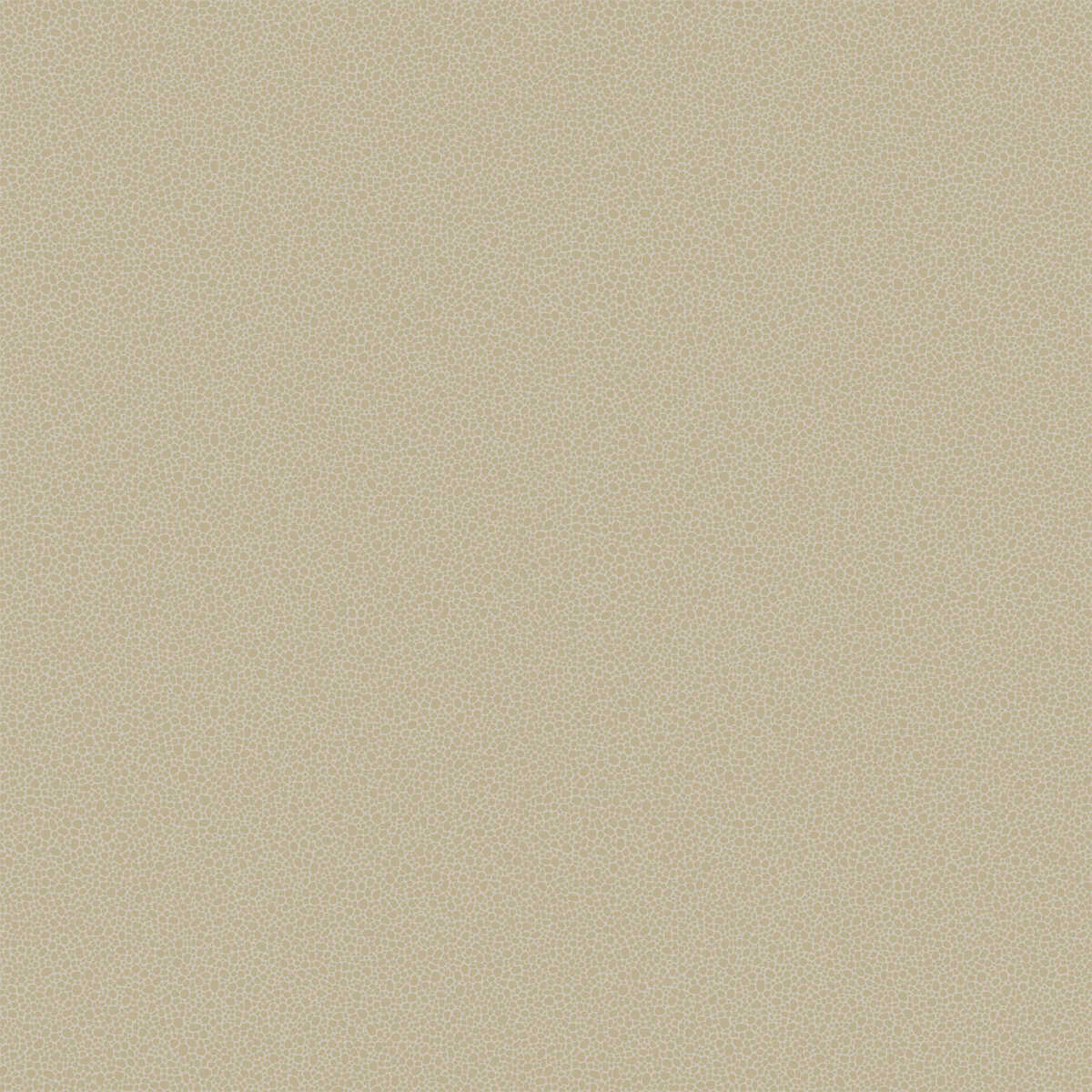 Goldstone - Stone & Gilver - COLE & SON Papel pintado