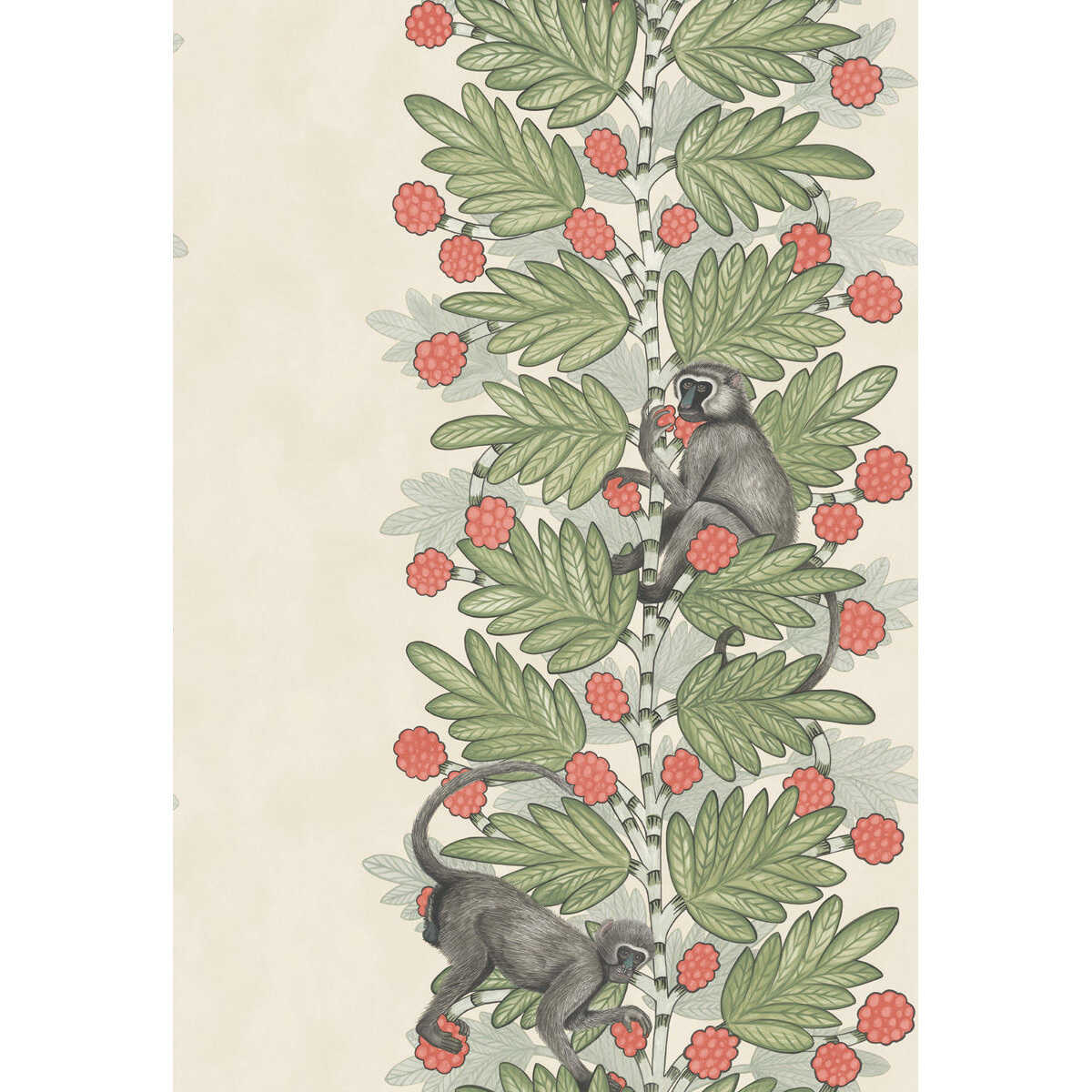 Acacia - Green & Coral Berries - COLE & SON Papel pintado