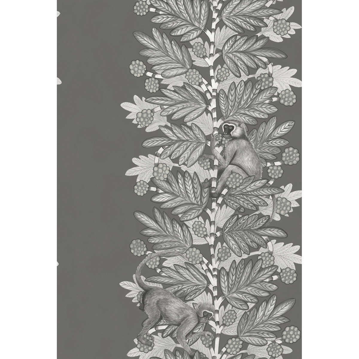 Acacia - Charcoal & Silver - COLE & SON Wallpaper