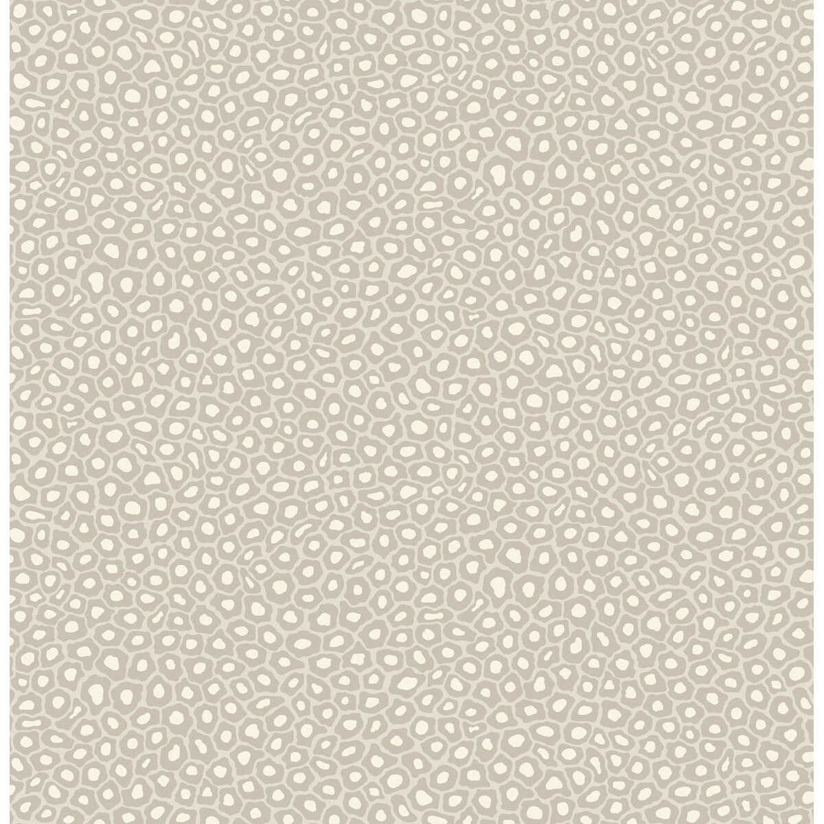 Senzo Spot - Stone & White - COLE & SON Wallpaper