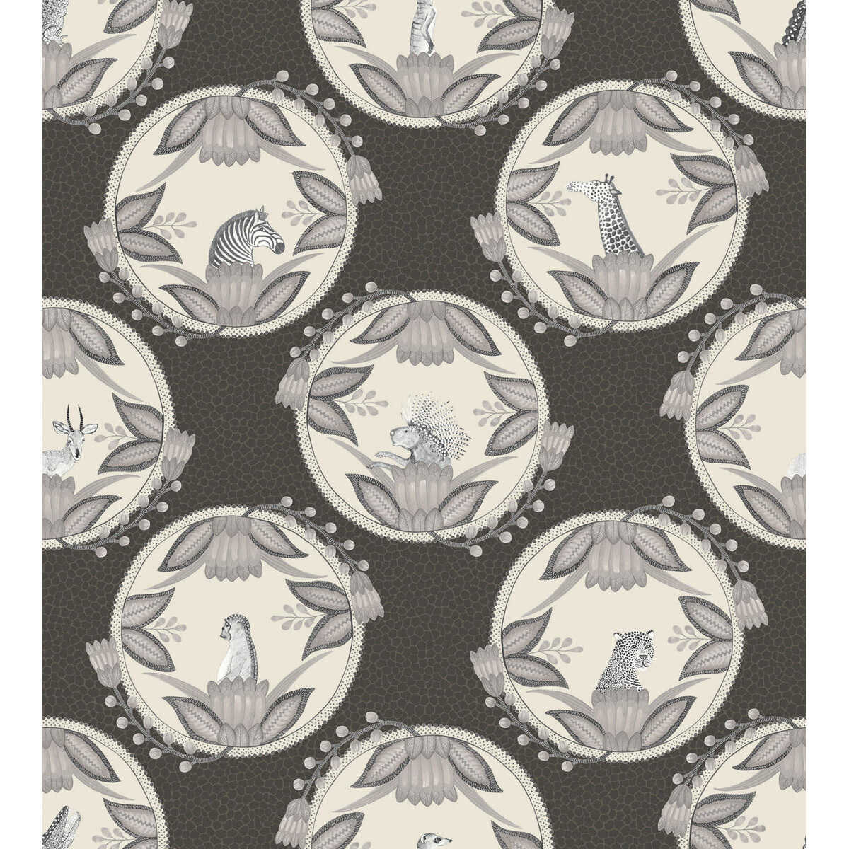 Ardmore Cameos - Black & White