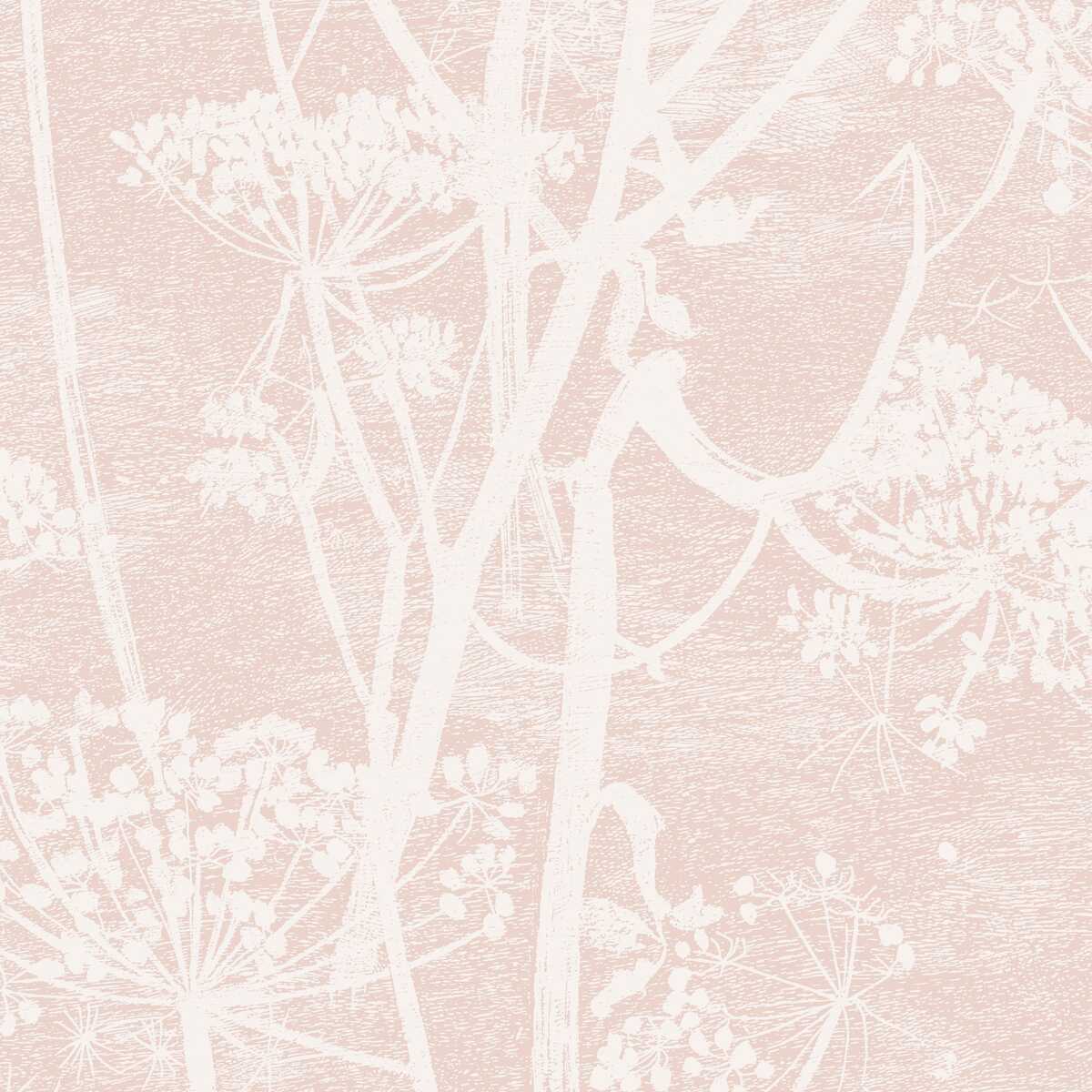 Cow Parsley - Plaster Pink - COLE & SON Papel pintado