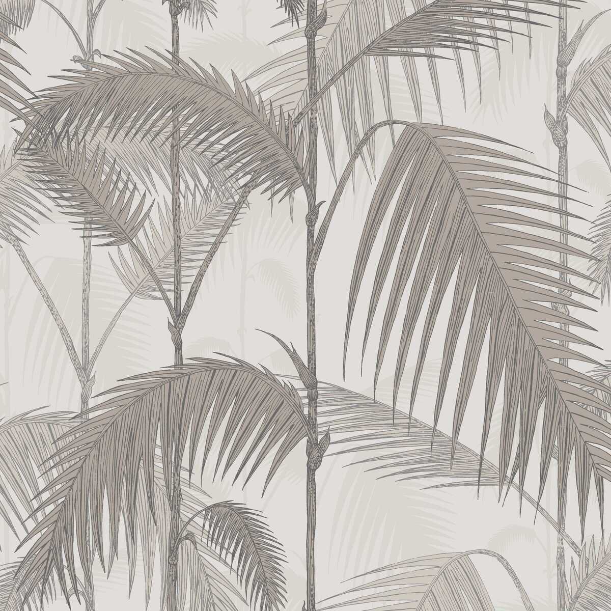 Palm Jungle - Stone/Taupe - Cole & Son Wallpaper