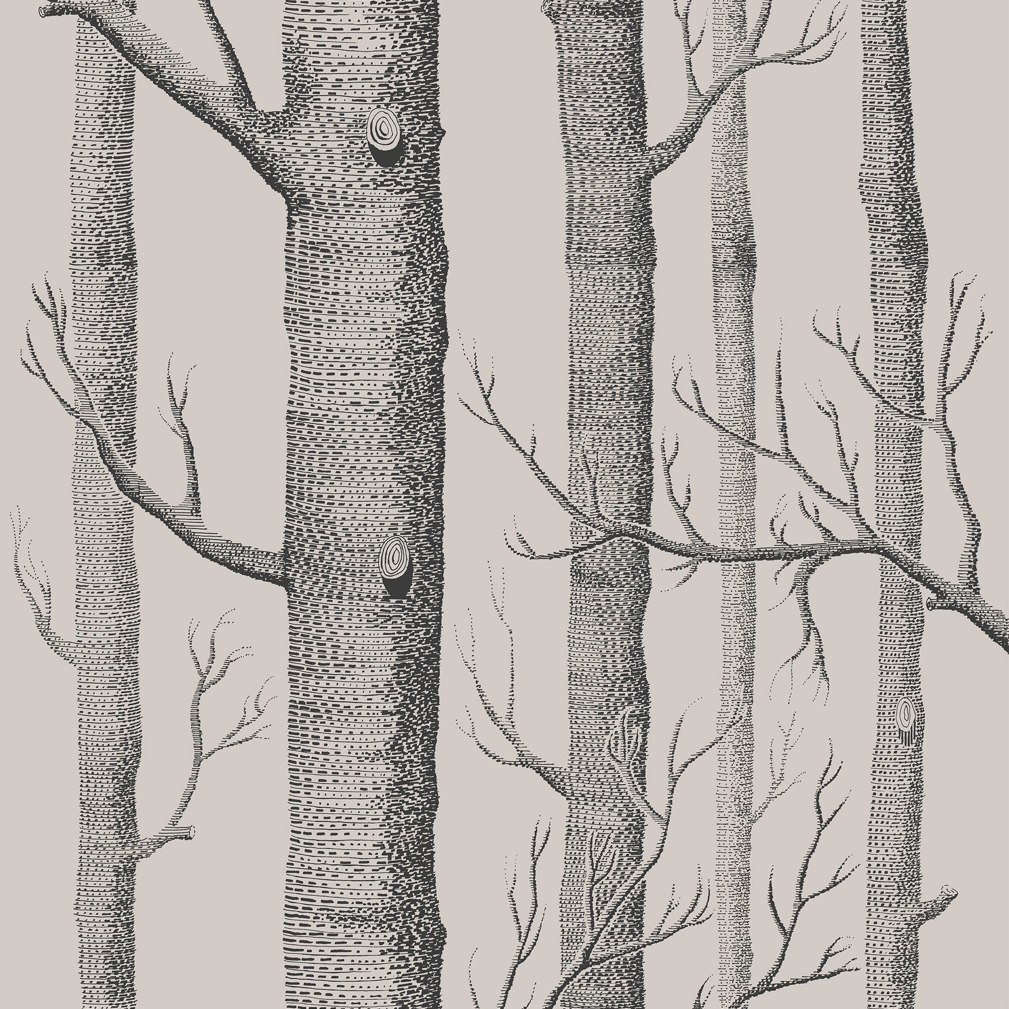 Woods - Linen/Charcoal - Cole & Son Wallpaper
