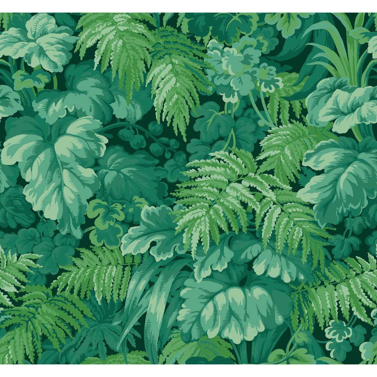Royal Fernery - Forest Green - COLE & SON Papel pintado