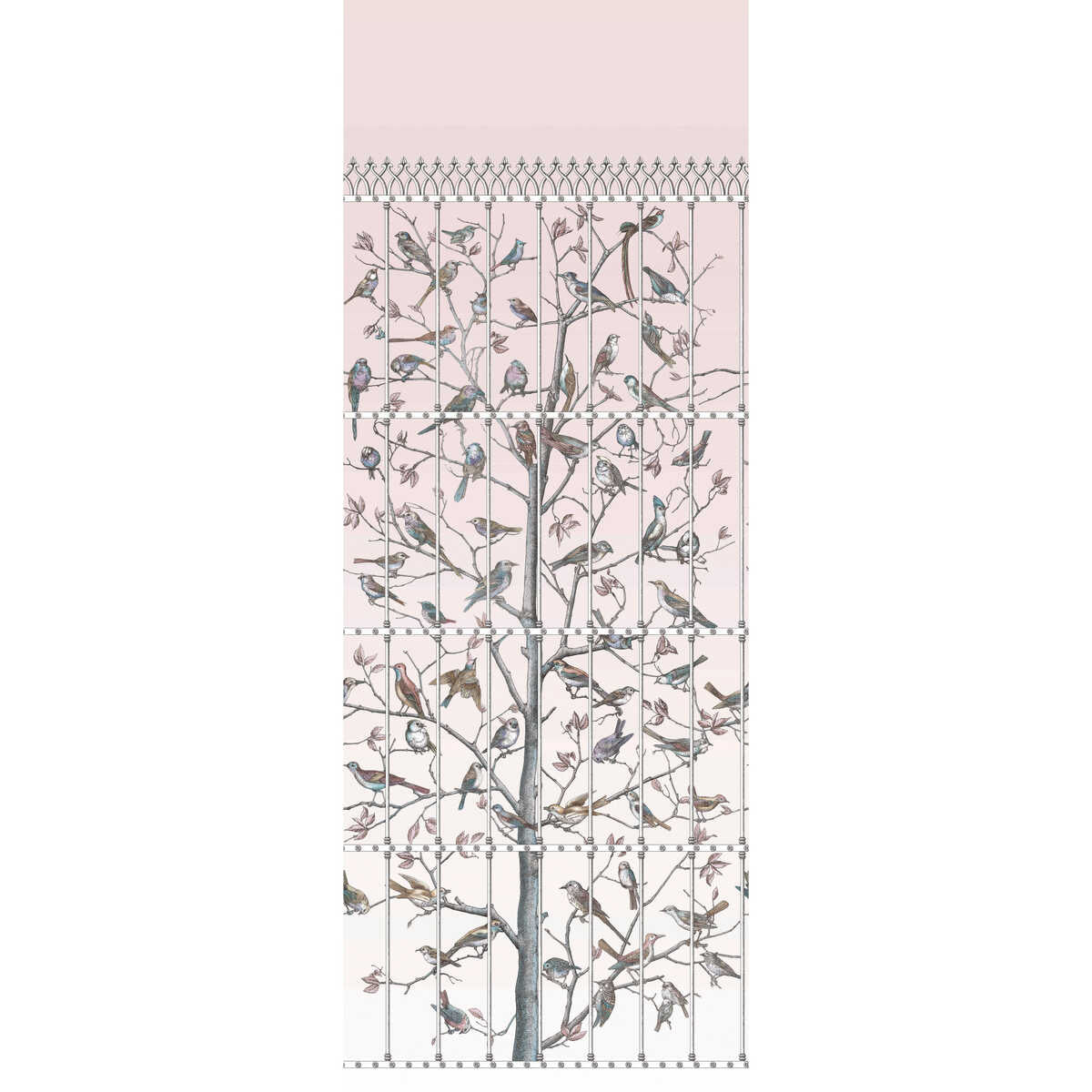 Uccelli - Ballet Slipper - COLE & SON Papel pintado