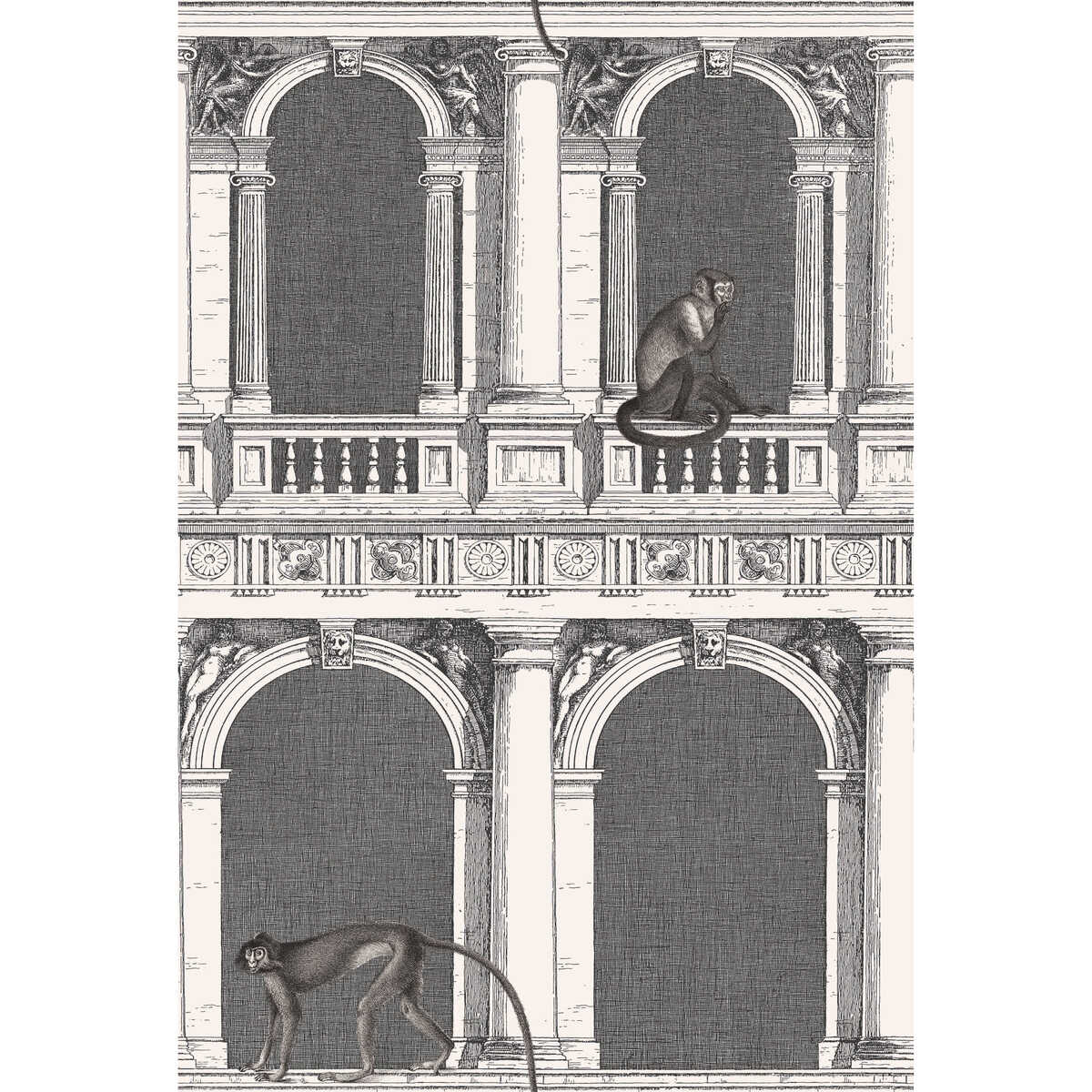 Procuratie E Scimmie - B/W - Cole & Son Wallpaper