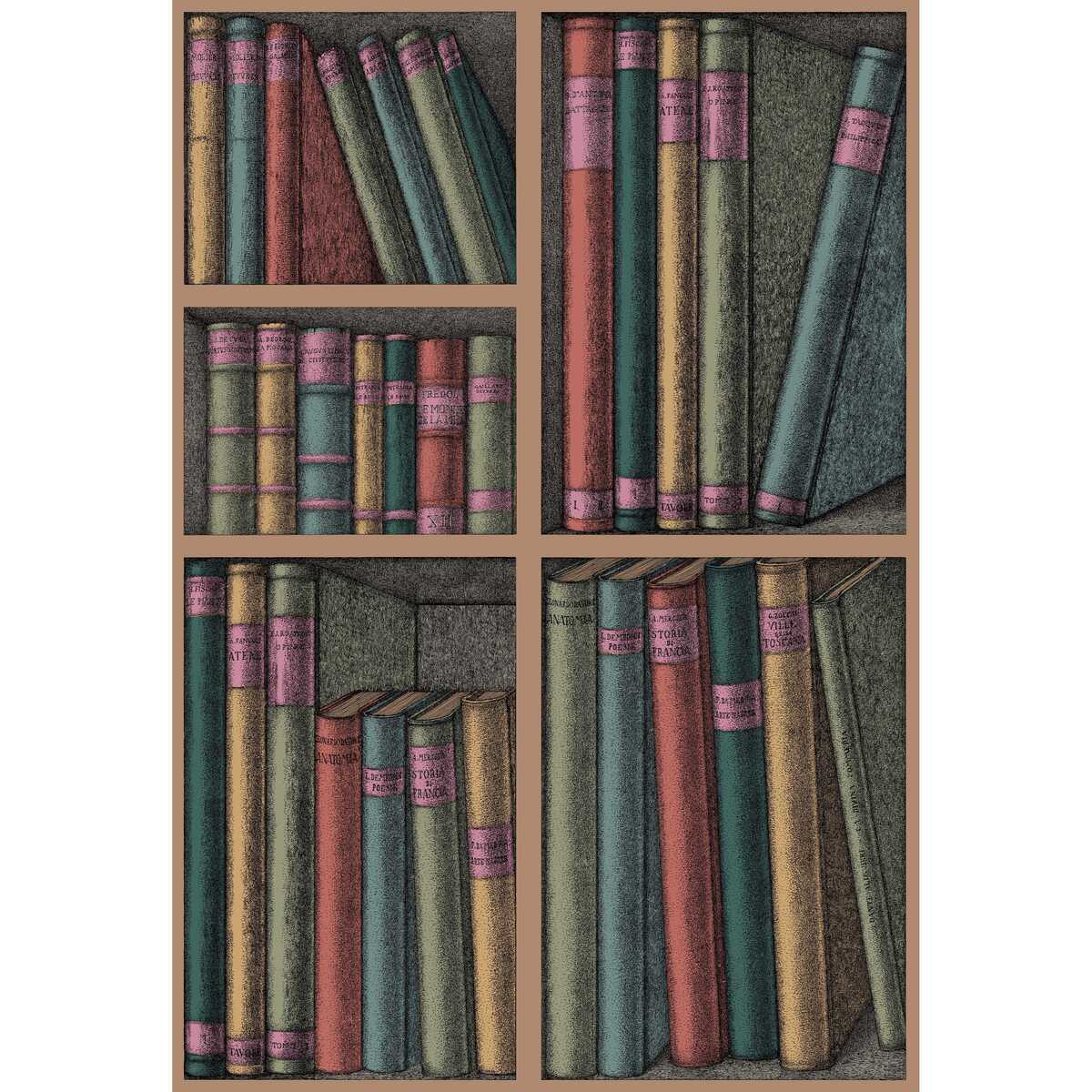 Ex Libris Ii - Forest - Cole & Son Wallpaper