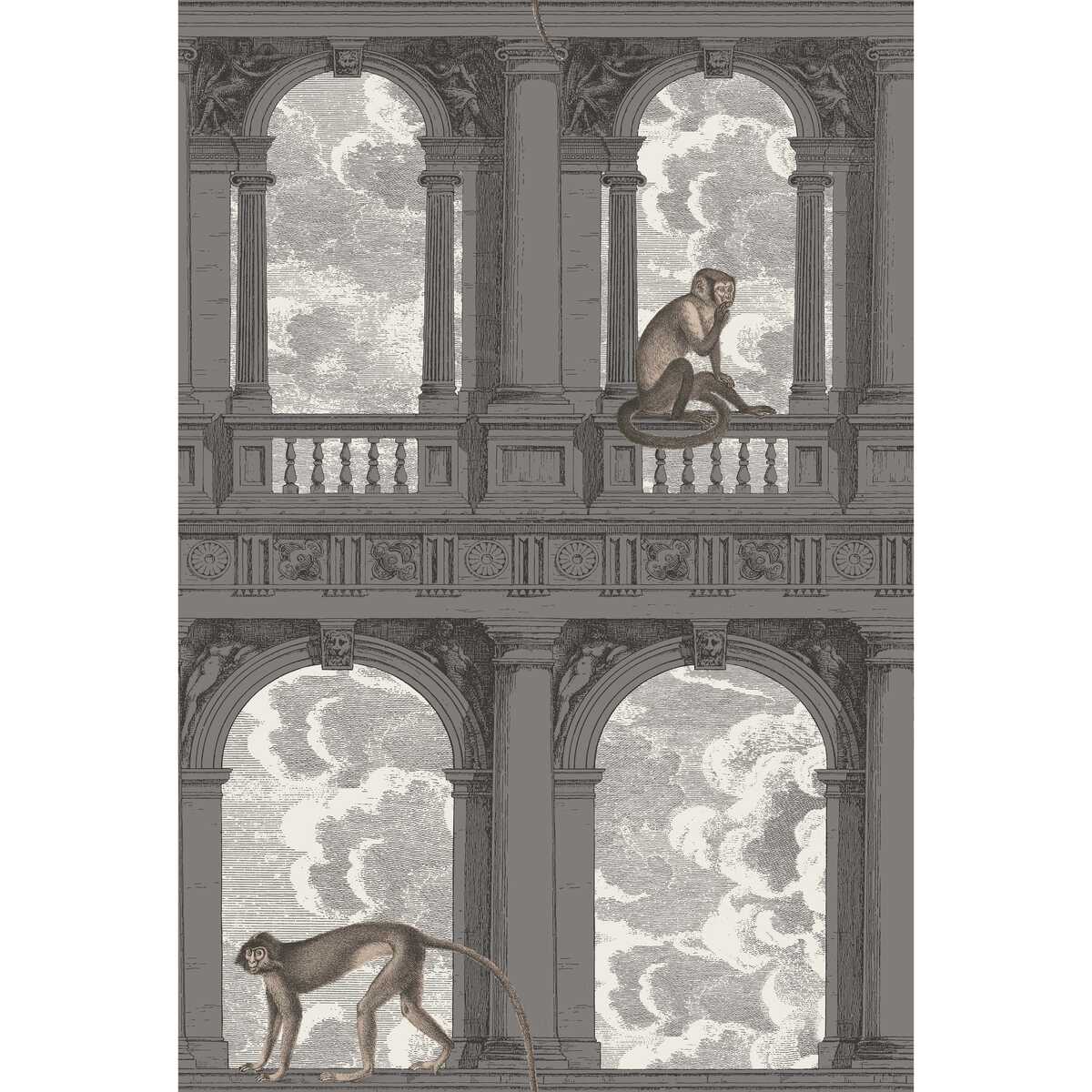 Procuratie Con Vista - Soot & Snow - COLE & SON Wallpaper