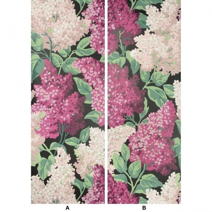 Lilac Grandiflora - M/B/C