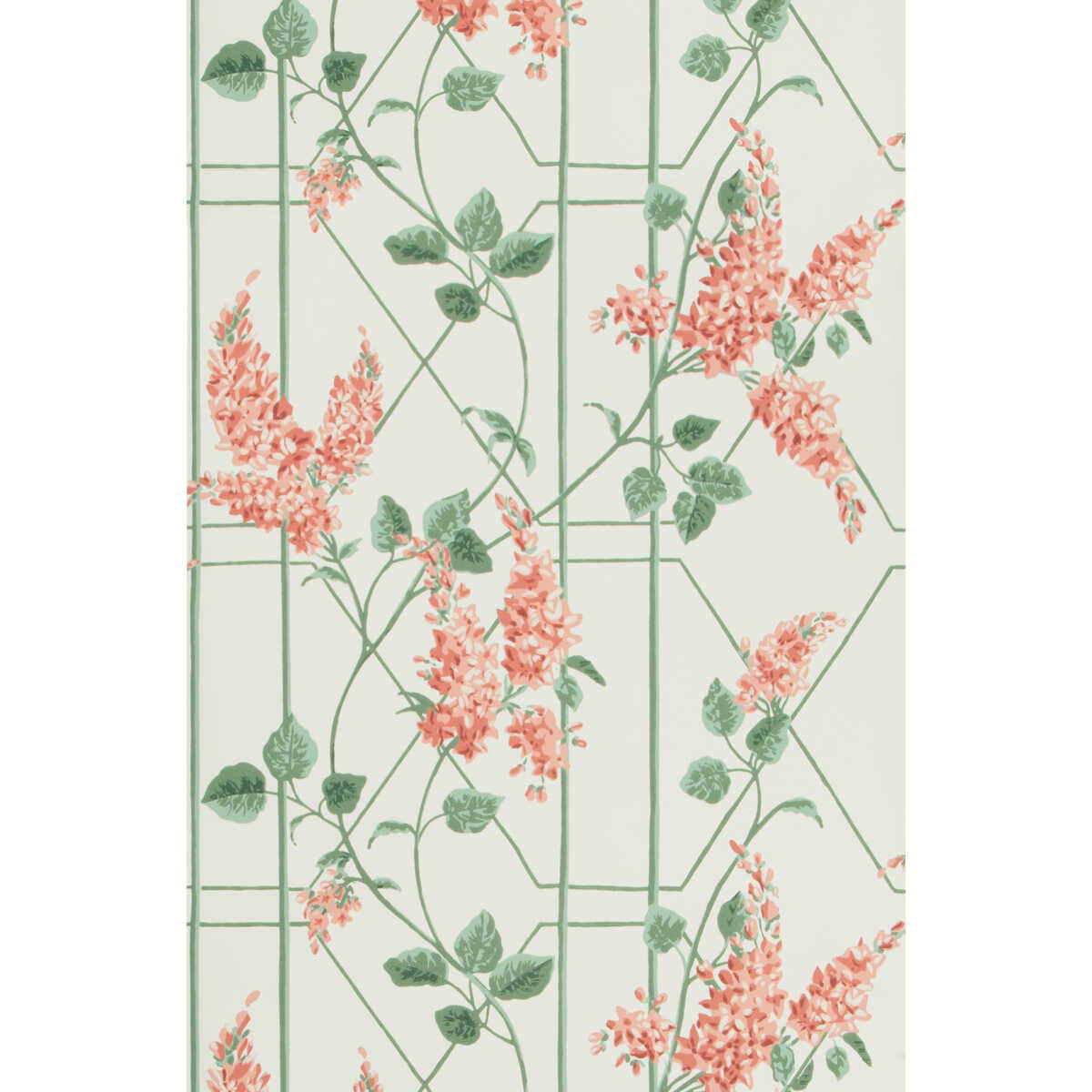 Wisteria - Coral/Sage/Parch - Cole & Son Wallpaper