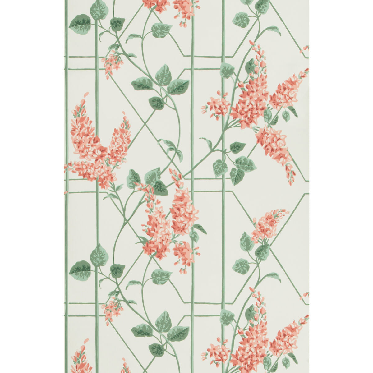 Wisteria - Coral/Sage/Parch - Cole & Son Wallpaper