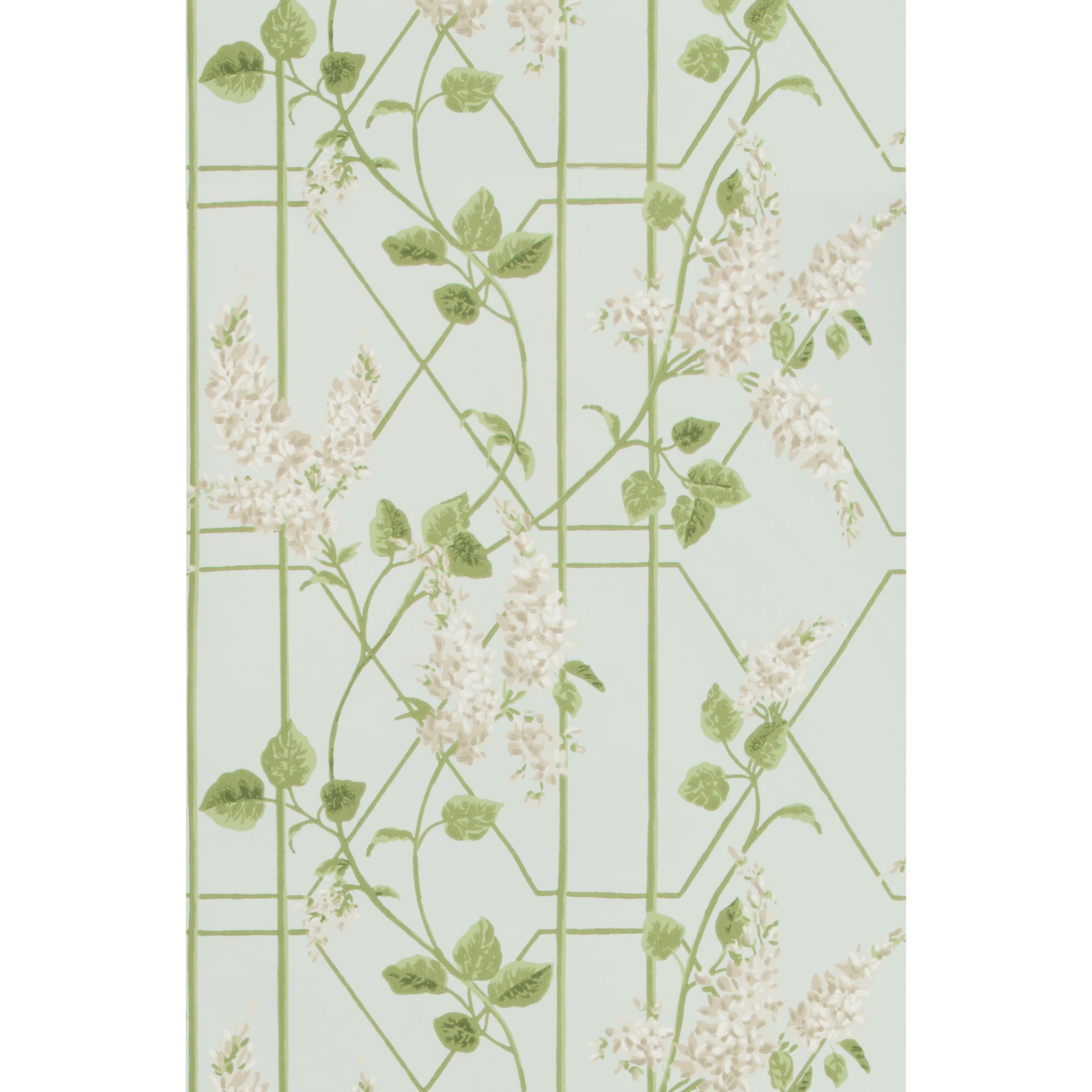 Wisteria - Stone/Olive/D Egg - Cole & Son Wallpaper