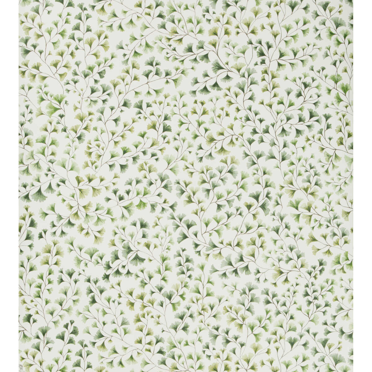 Maidenhair - Olive - COLE & SON Wallpaper