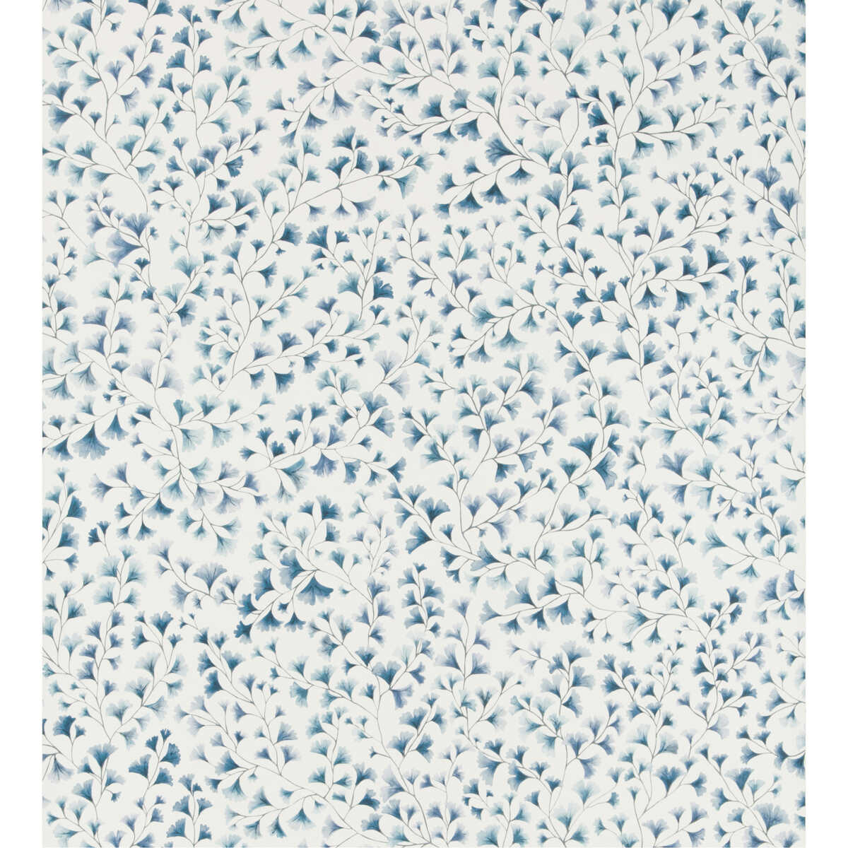 Maidenhair - China Blue