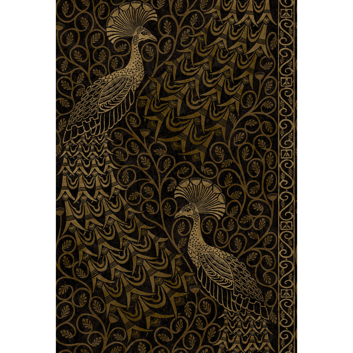 Pavo Parade - M Gold/Soot