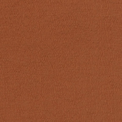 anshu-designers-guild-fdg2896-36