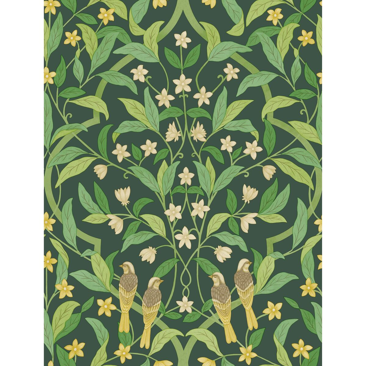 Jasmine & Serin Symphony - Yellow/Grn/Forest - Cole & Son Wallpaper