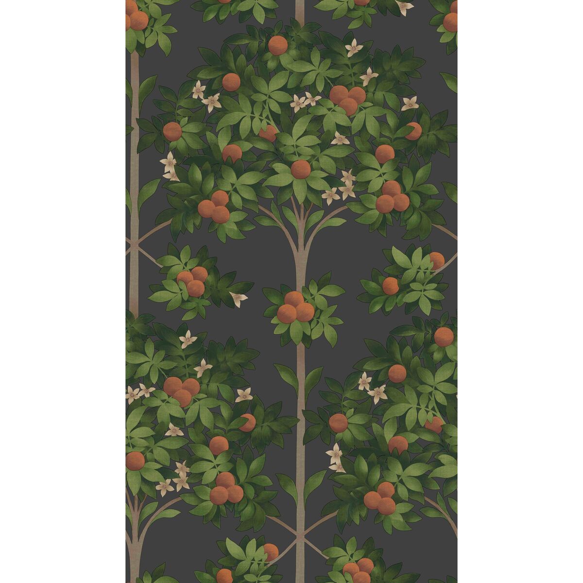 Orange Blossom - Orange & Spring Green/Black - Cole & Son Wallpaper