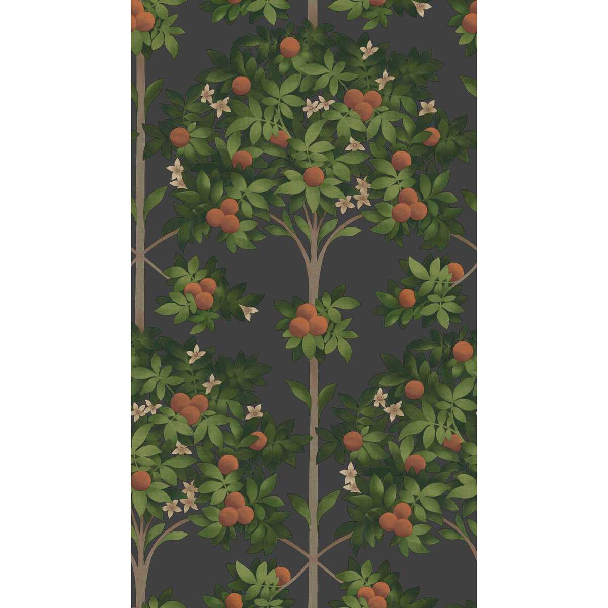 Orange Blossom - Orange & Spring Green/Black - COLE & SON Wallpaper