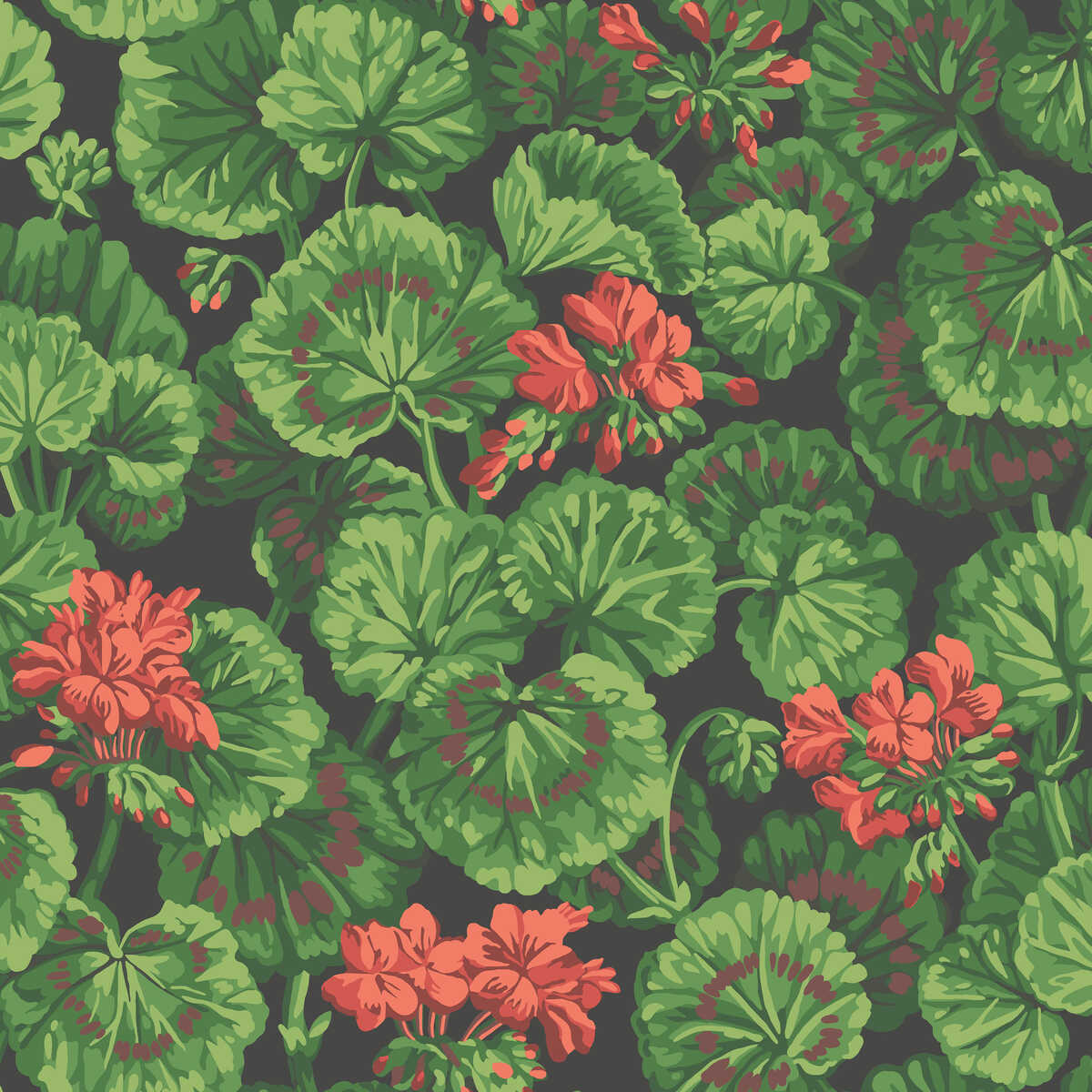 Geranium - Rouge & Leaf Greens On Black - COLE & SON Wallpaper