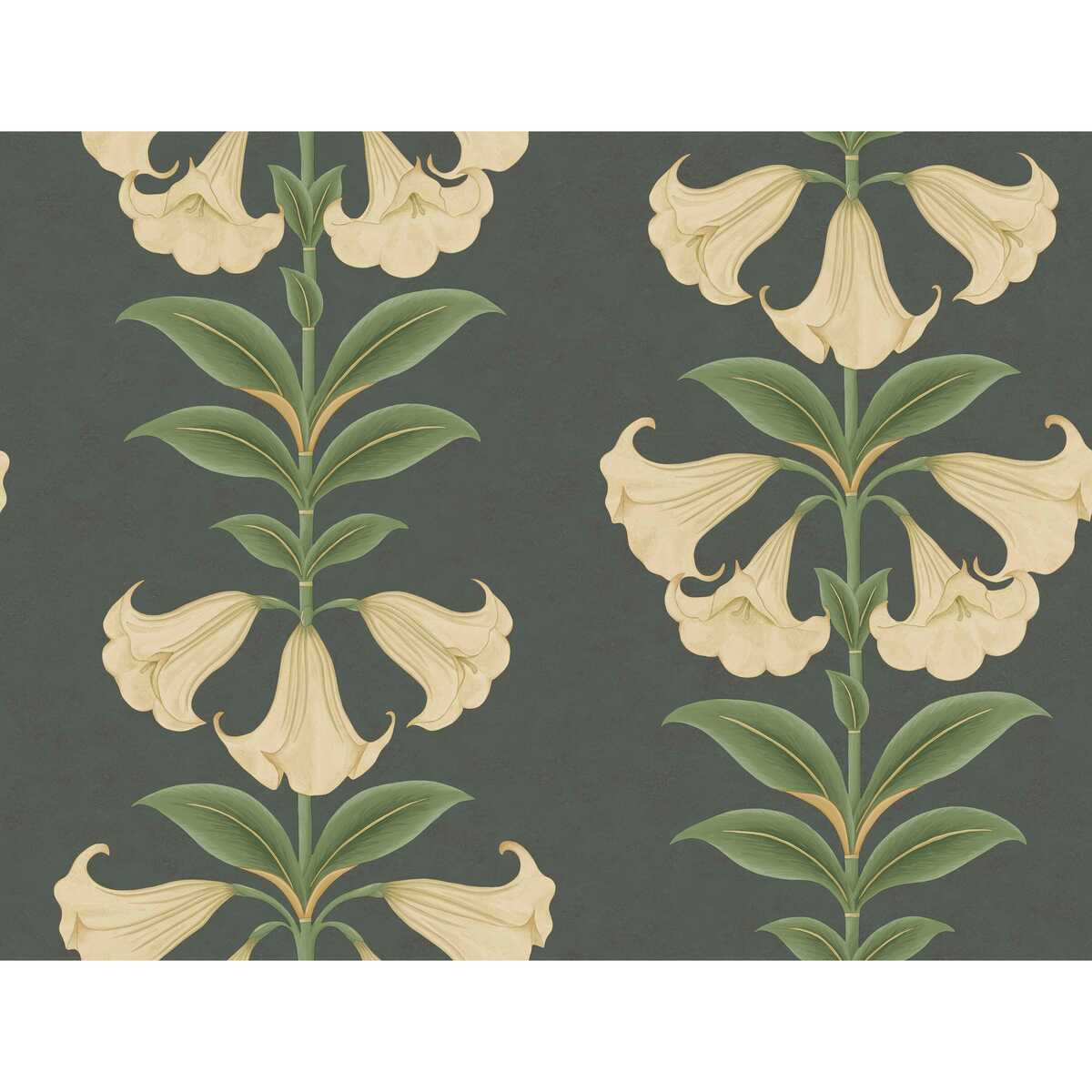 Angels Trumpet - Cream/Olive Green/Charcoal - COLE & SON Wallpaper