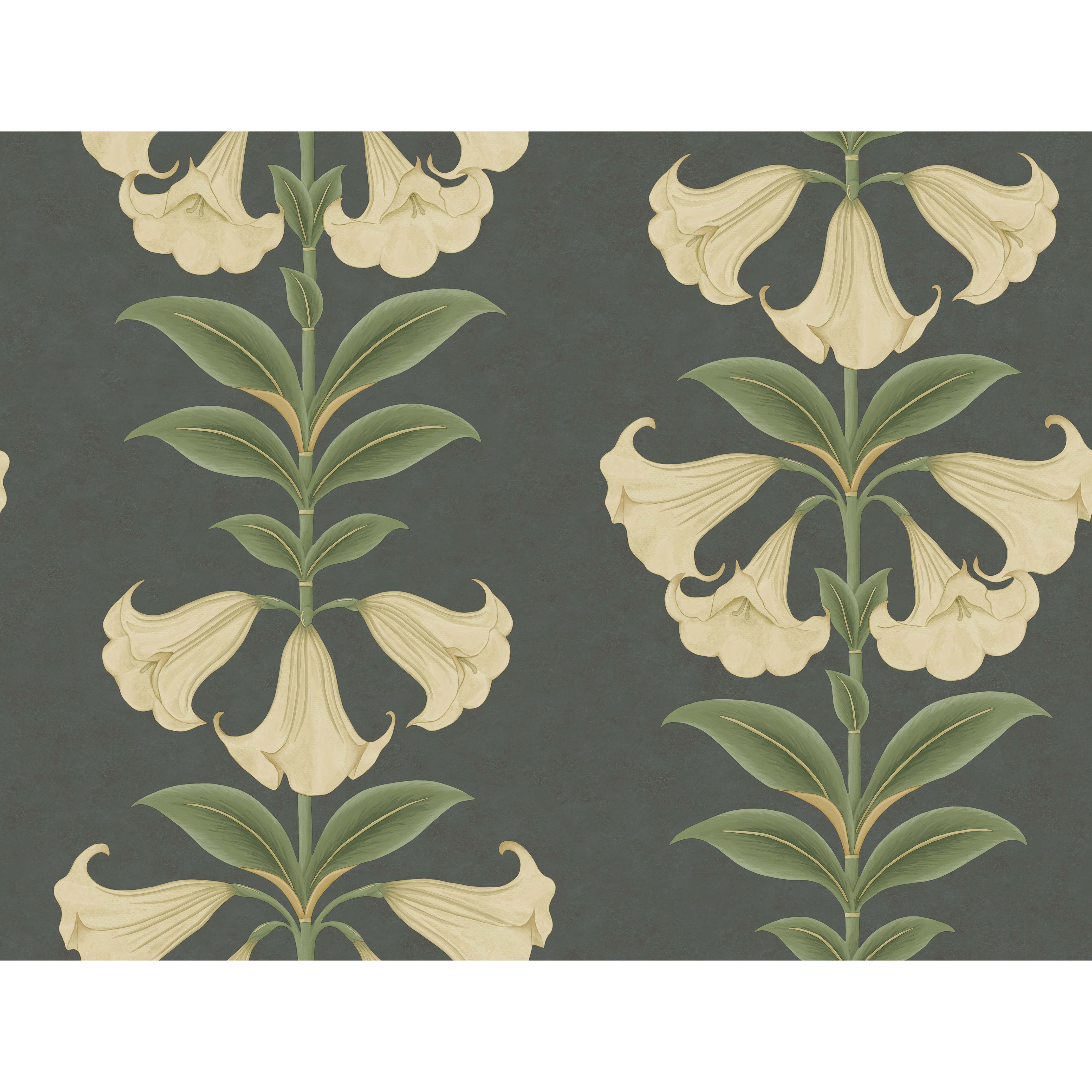 Angels Trumpet - Cream/Olive Green/Charcoal - Cole & Son Wallpaper