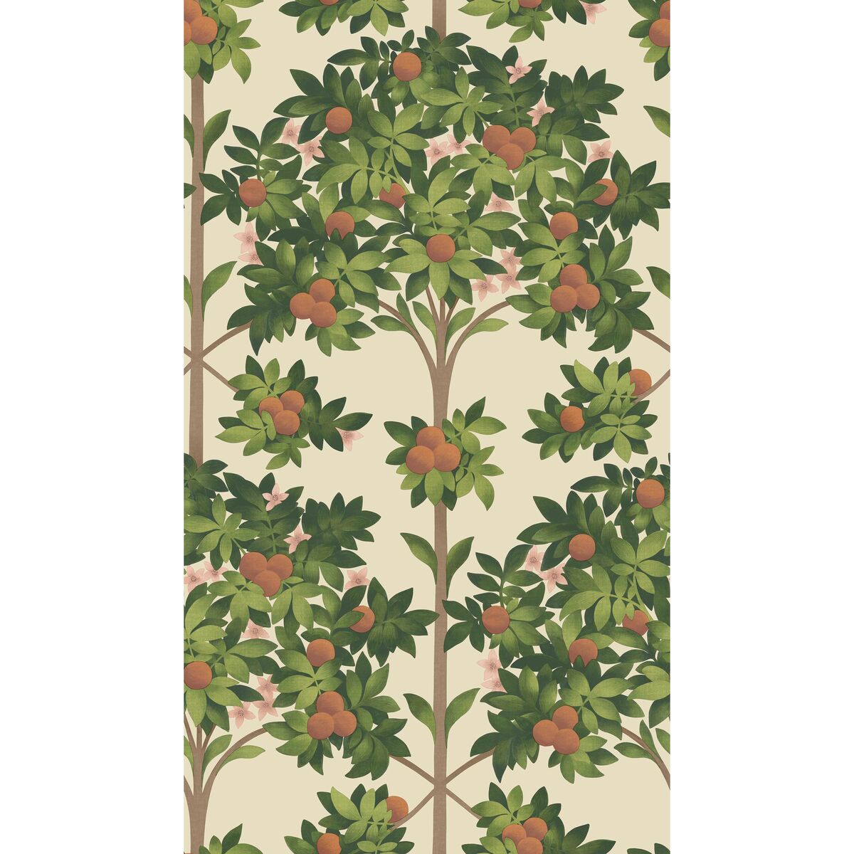Orange Blossom - Orange & Spring Green/Parch - Cole & Son Wallpaper
