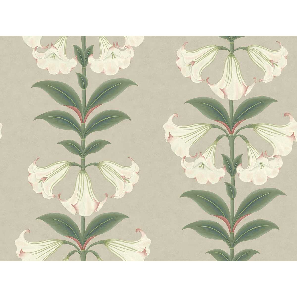 Angels Trumpet - Chalk & Sage On Stone - COLE & SON Papel pintado