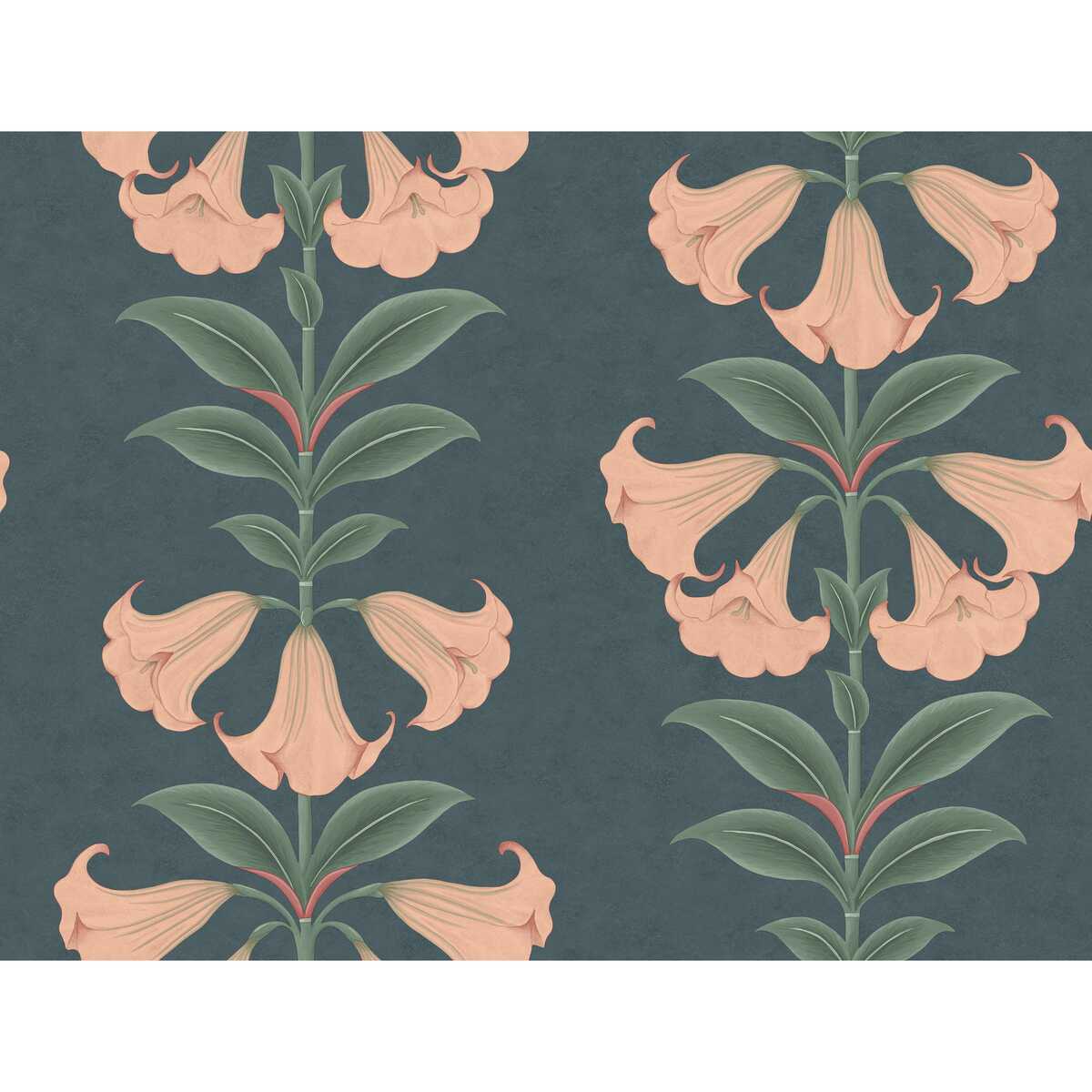 Angels Trumpet - Coral & Viridian On Ink - COLE & SON Wallpaper