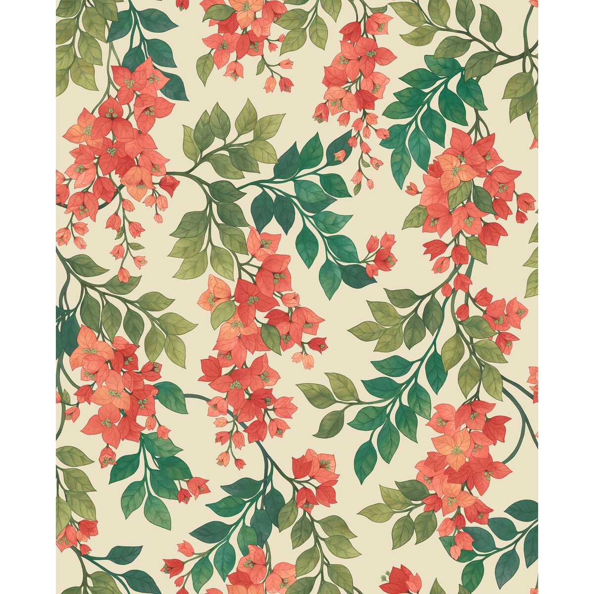 Bougainvillea - Rouge/Olive Grn/Emerald/Crm - COLE & SON Wallpaper