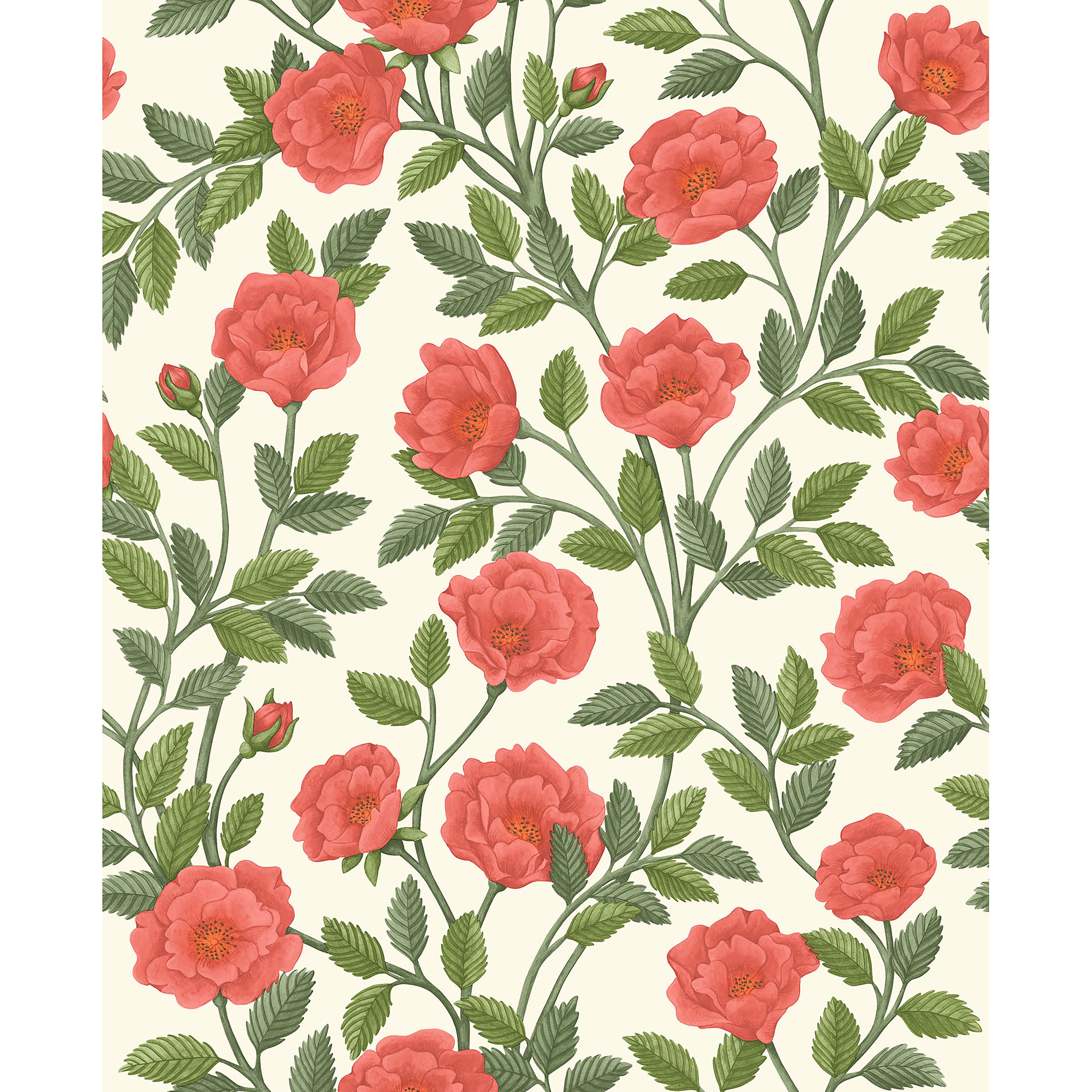 Hampton Roses - R&Sgrn/Pmnt - Cole & Son Wallpaper
