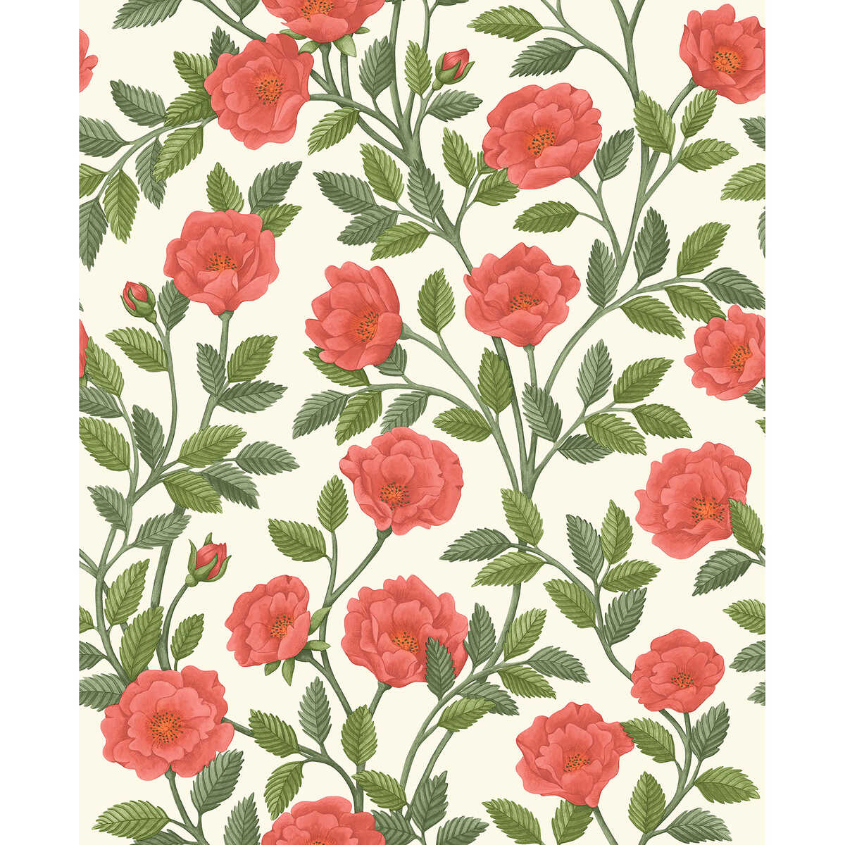 Hampton Roses - R&Sgrn/Pmnt - COLE & SON Wallpaper
