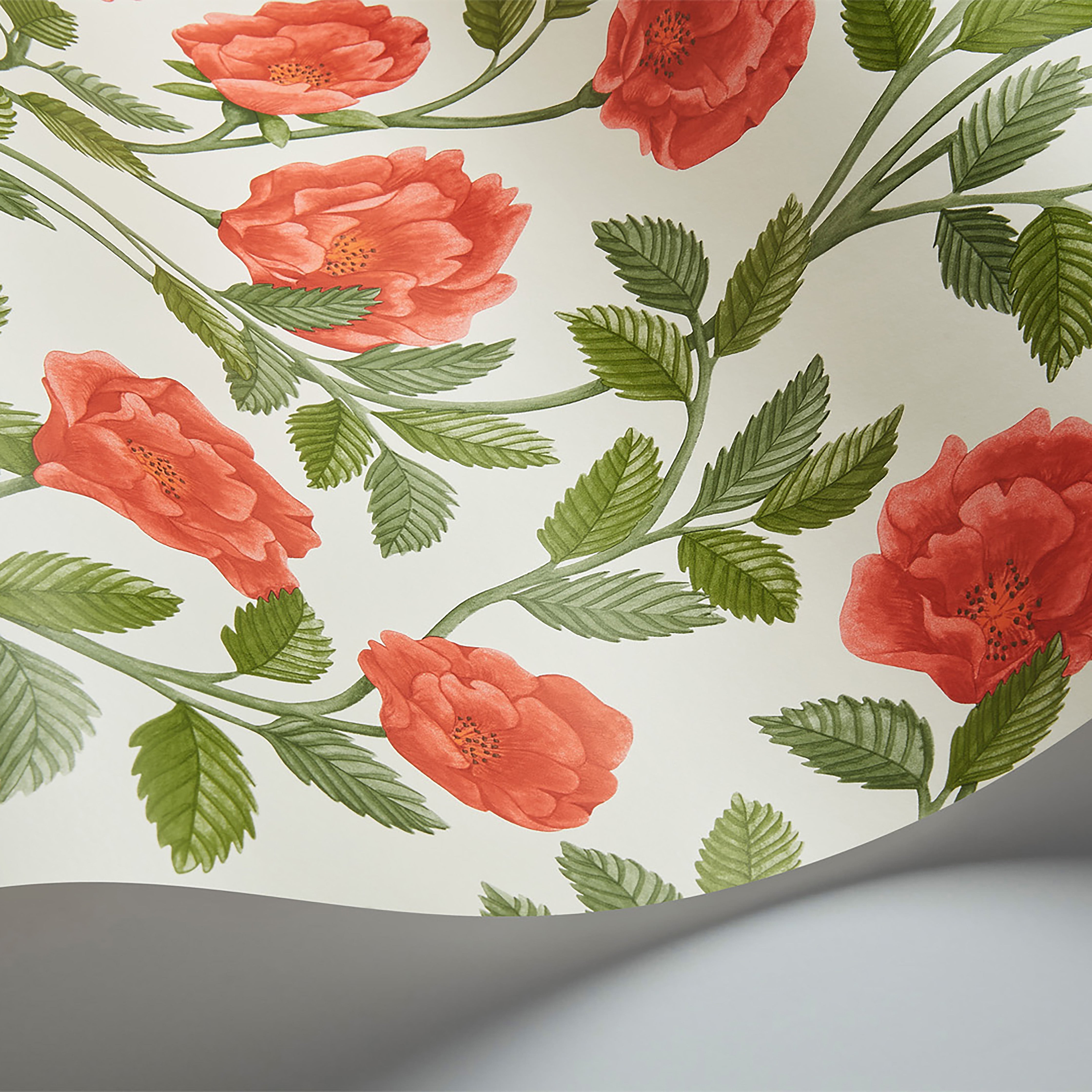 Hampton Roses - R&Sgrn/Pmnt - Cole & Son Wallpaper