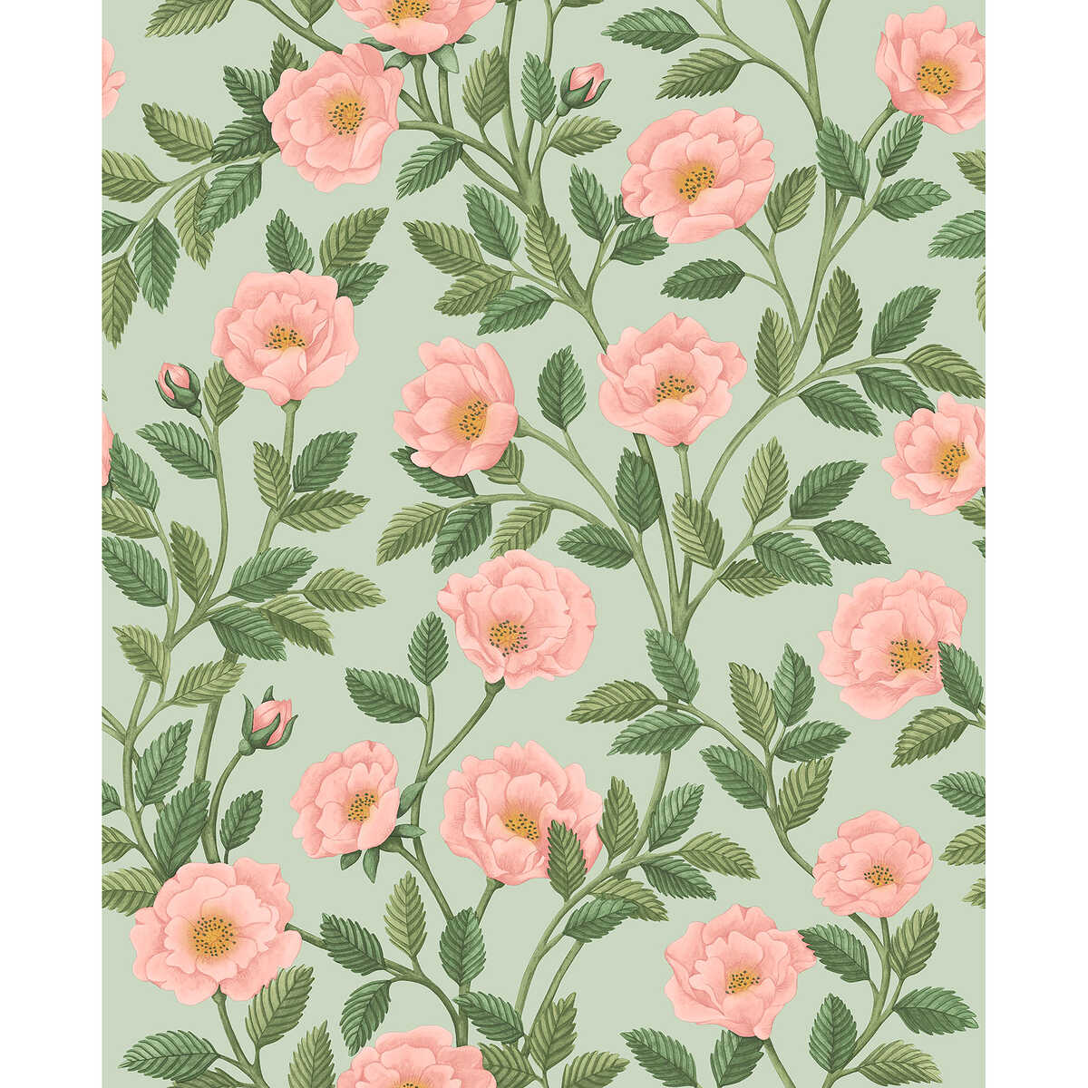 Hampton Roses - R&Lgrn/Degg - COLE & SON Wallpaper