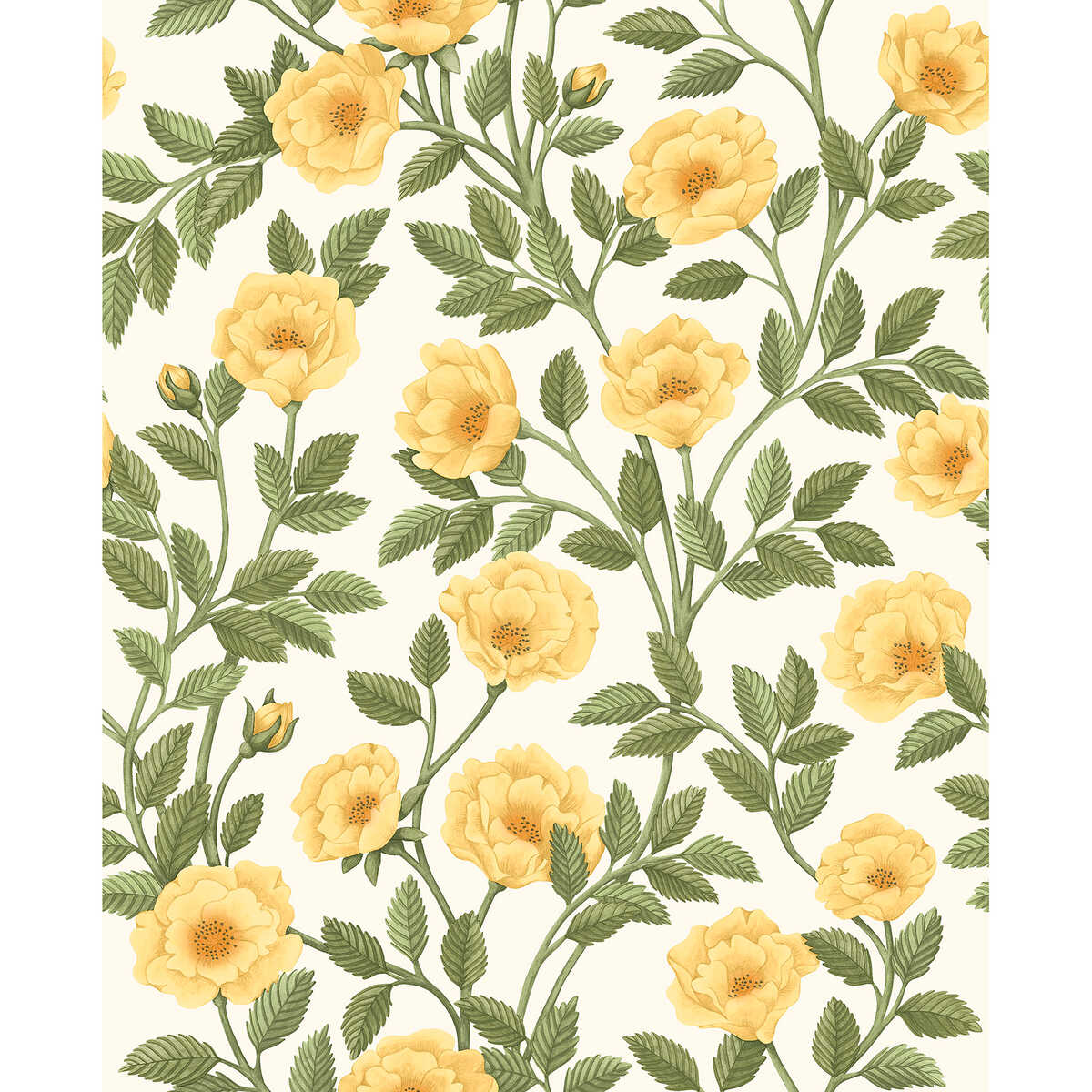 Hampton Roses - Mrg&Ogrn/Wh - COLE & SON Wallpaper