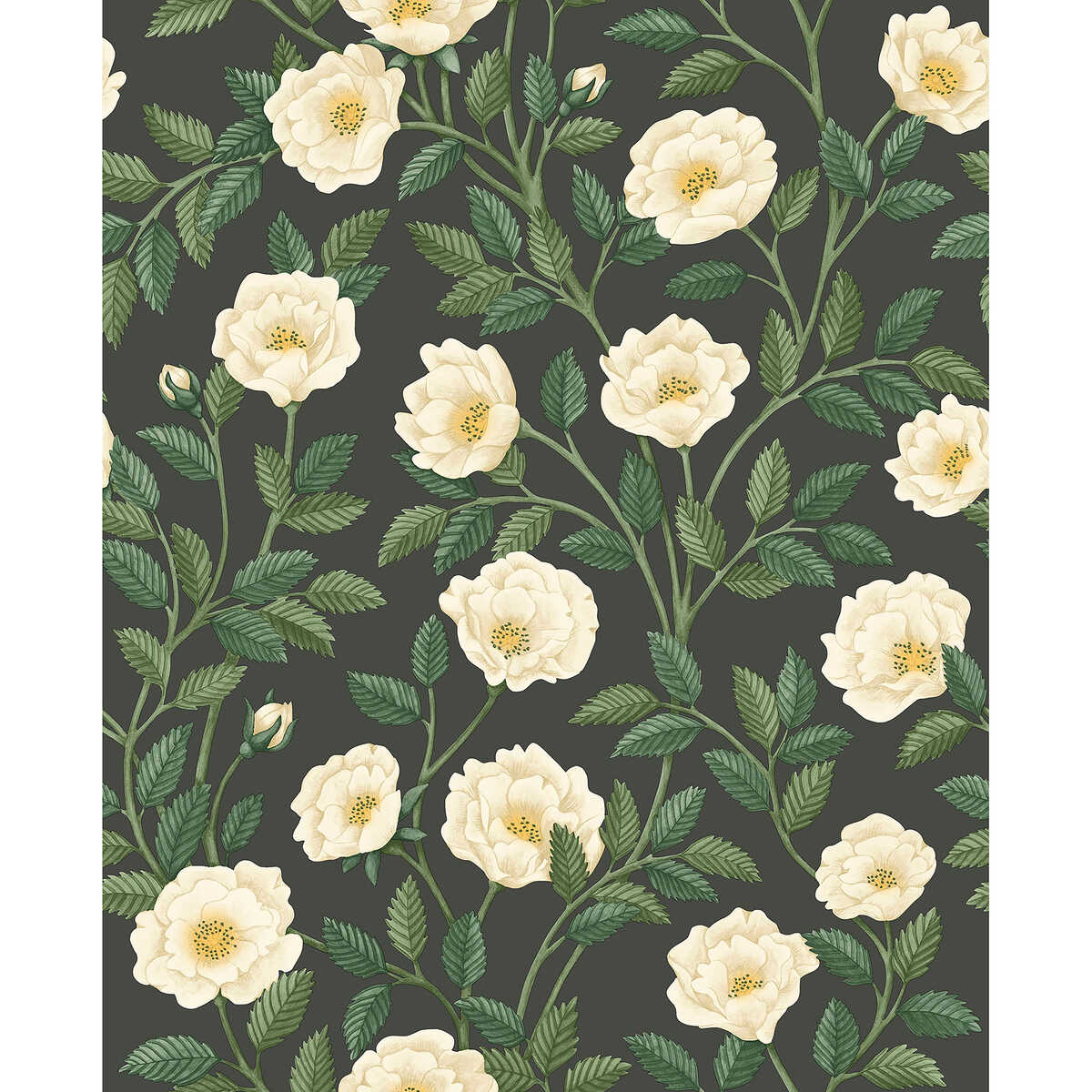 Hampton Roses - Crm&Fgrn/Ch - COLE & SON Wallpaper