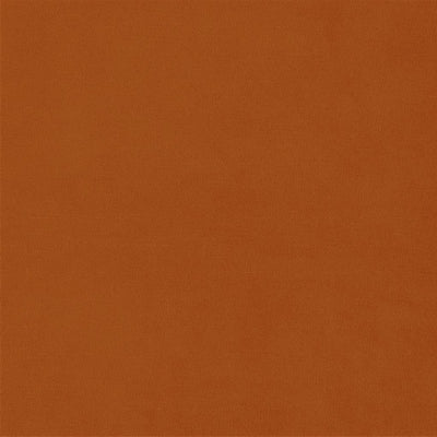 velluto-stretto-designers-guild-fdg2704-25