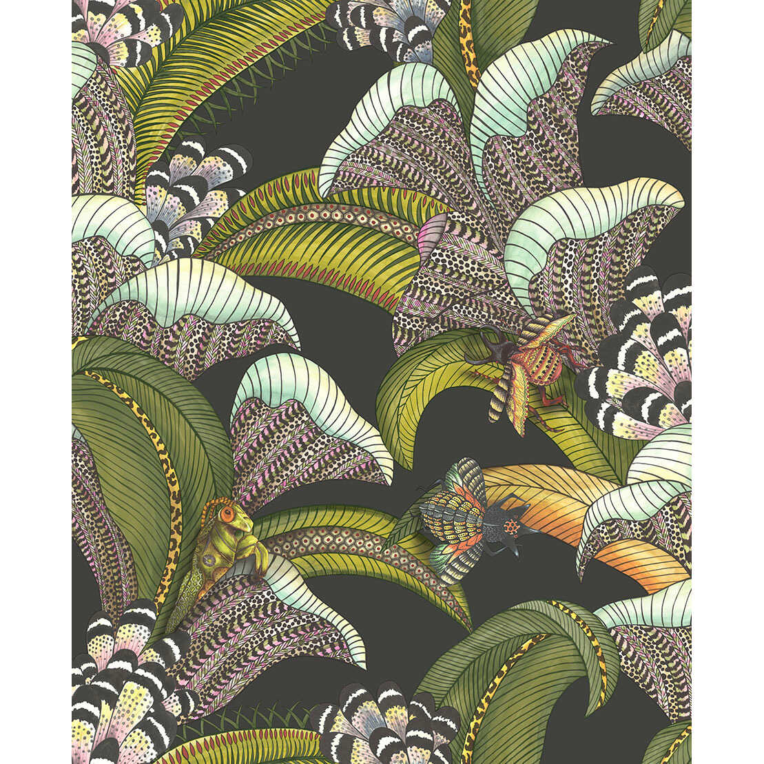 Hoopoe Leaves - Olive Black - COLE & SON Wallpaper