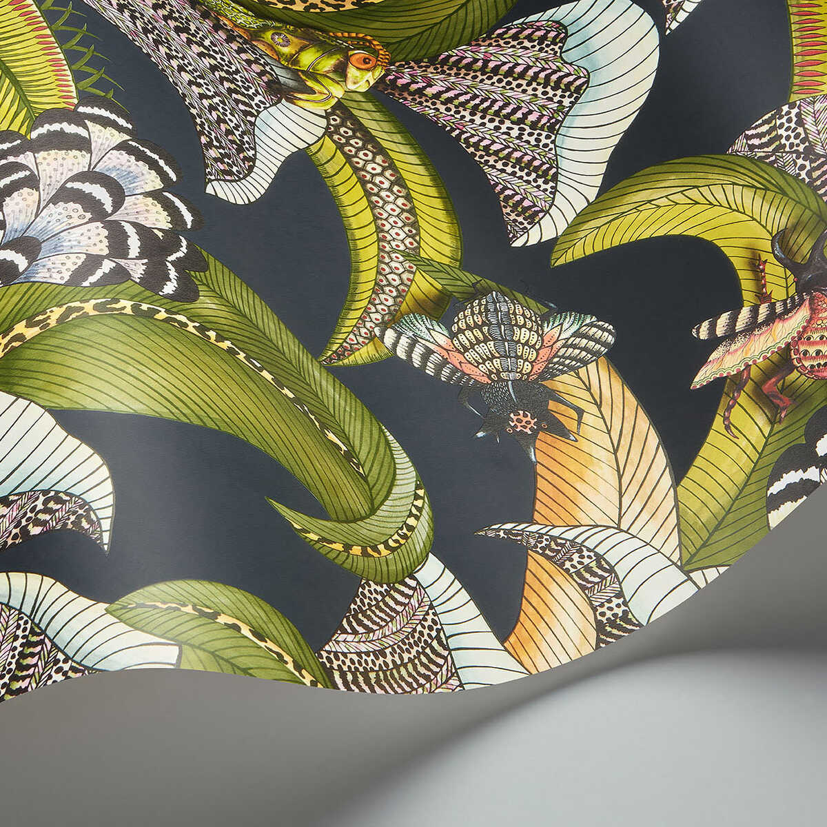 Hoopoe Leaves - Olive Black - COLE & SON Wallpaper