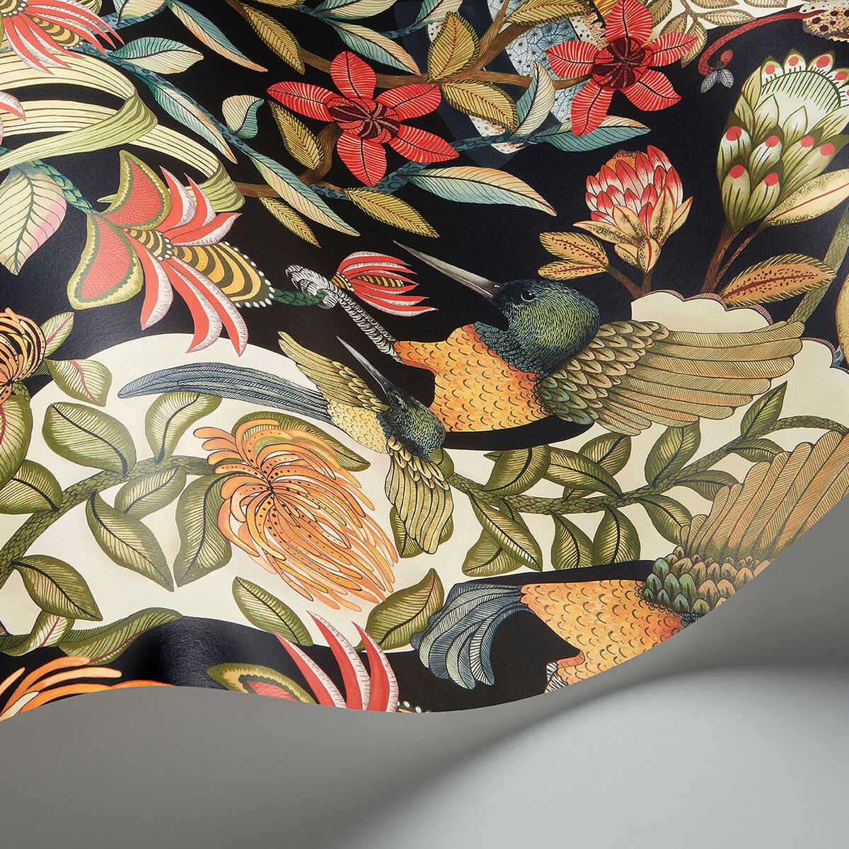 Protea Garden - Olv&Rg/Blck - COLE & SON Wallpaper