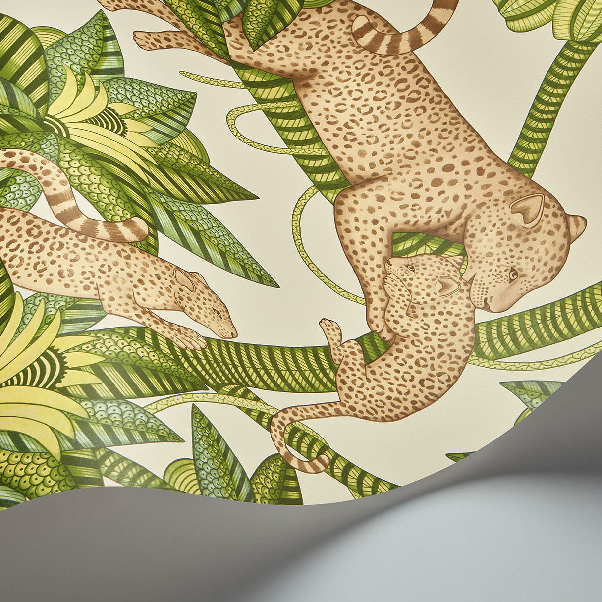 Satara - Sprngrn&Snd/Linen - Cole & Son Wallpaper