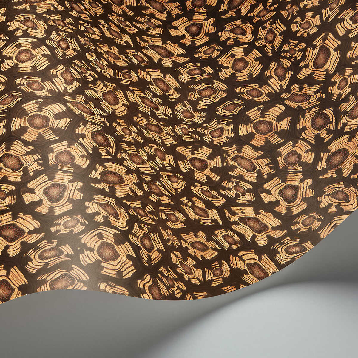 Savanna Shell - Ochre - COLE & SON Papel pintado