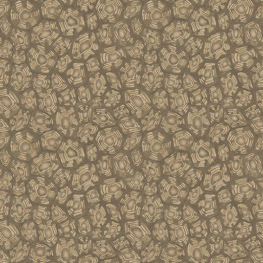 Savanna Shell - Gilver - COLE & SON Wallpaper