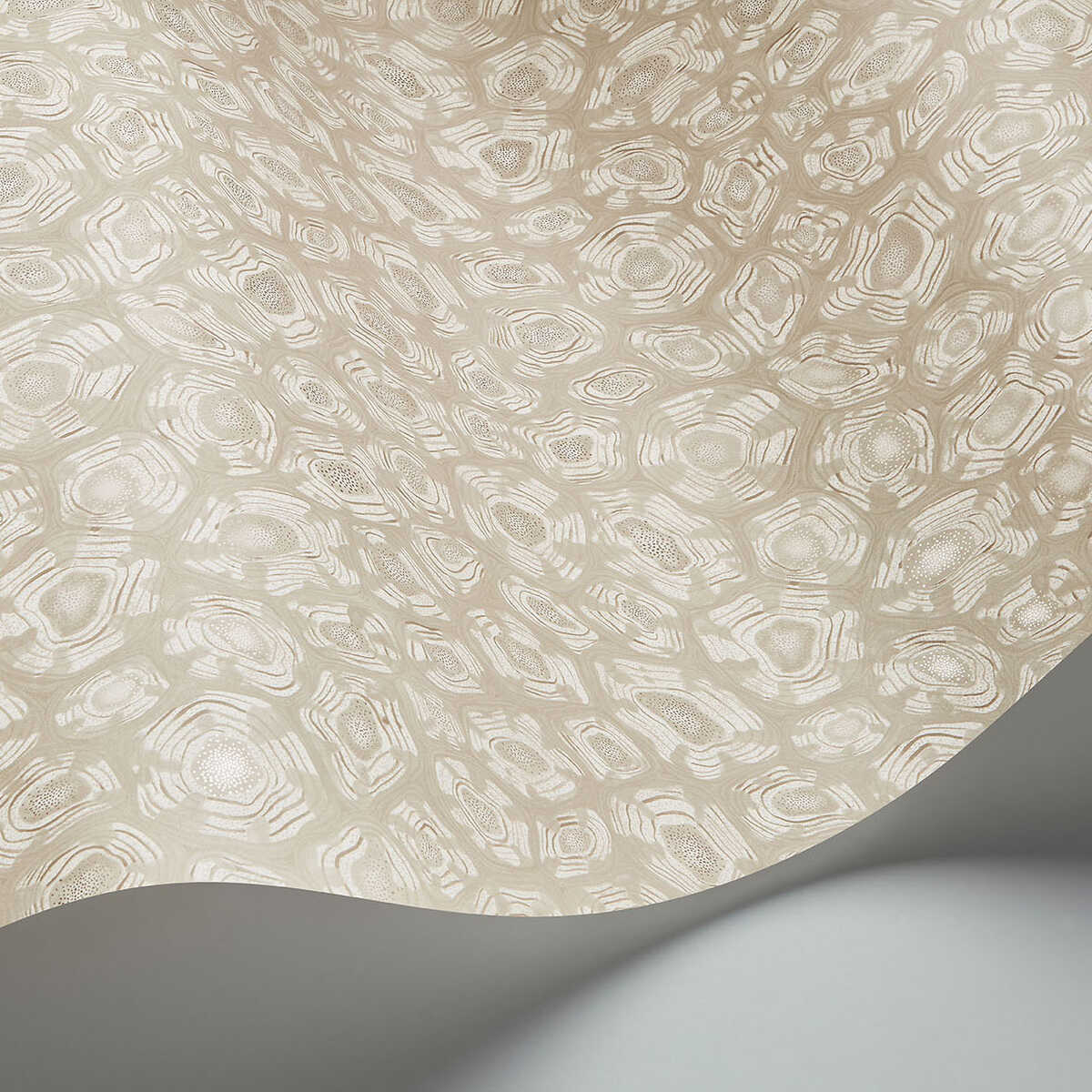 Savanna Shell - Parchment - COLE & SON Wallpaper