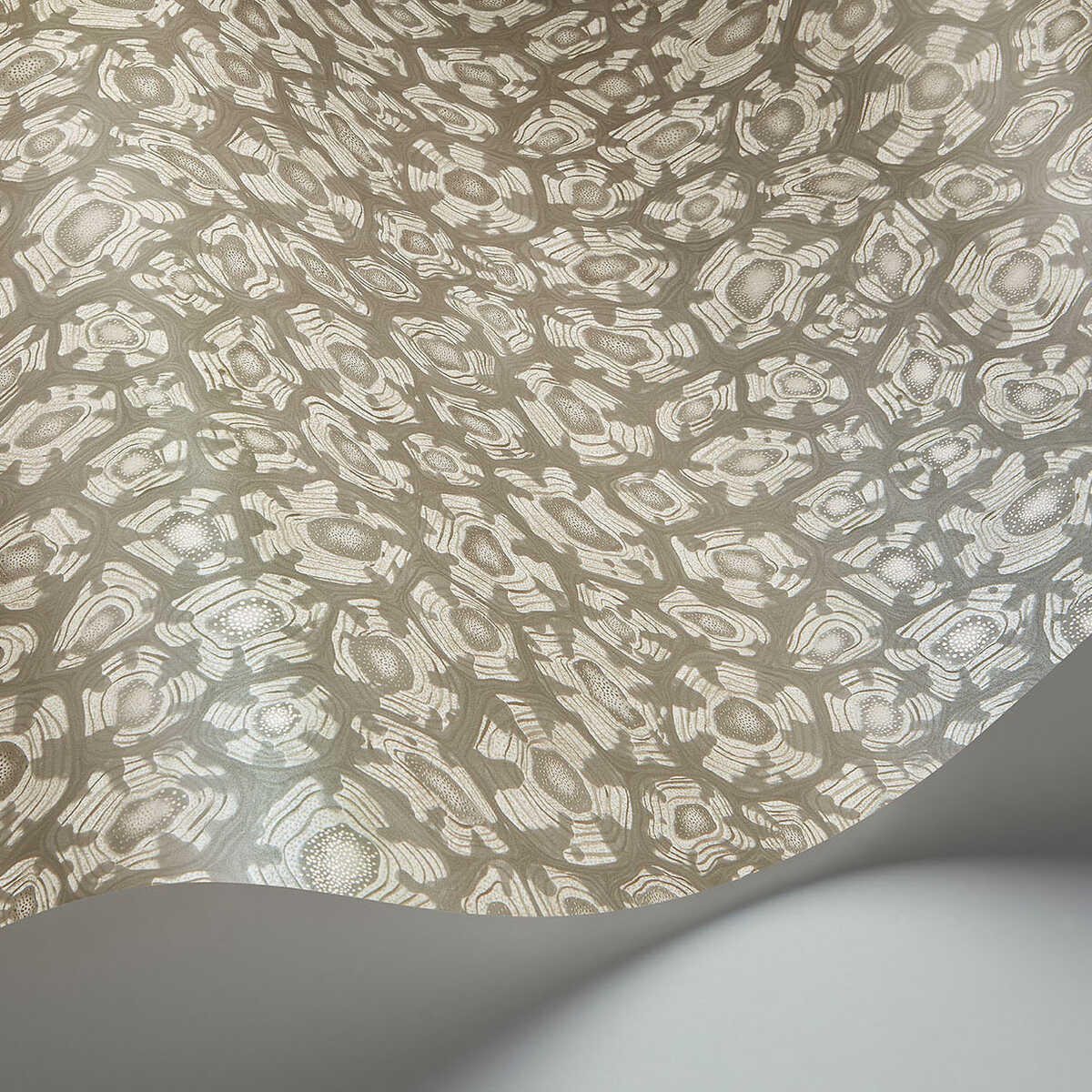 Savanna Shell - Taupe - COLE & SON Wallpaper